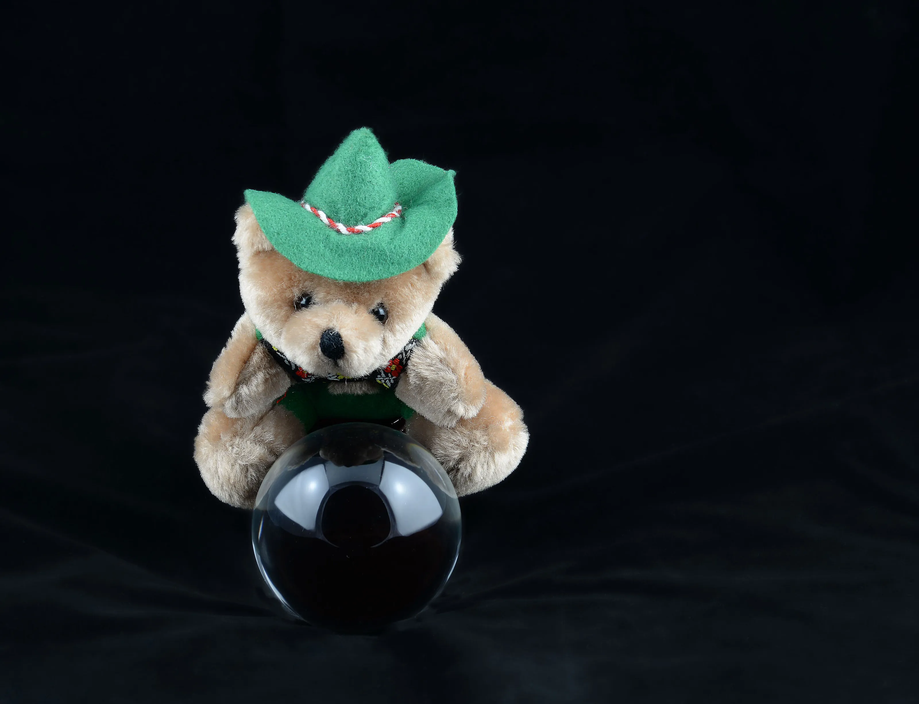 One Small Soft Toy Animal