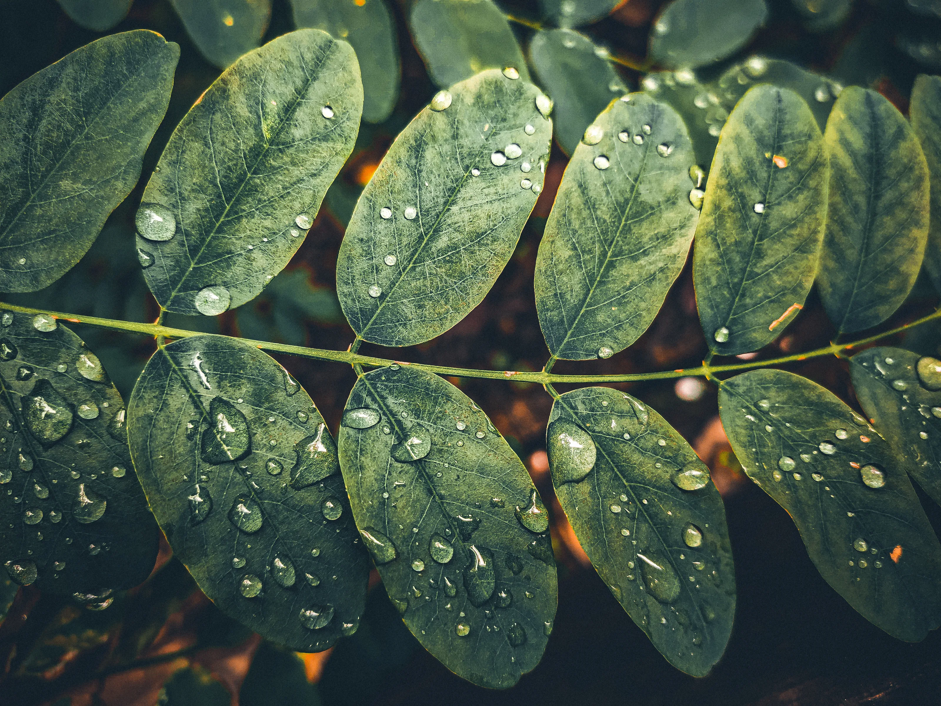 Waterdrops on Surfaces