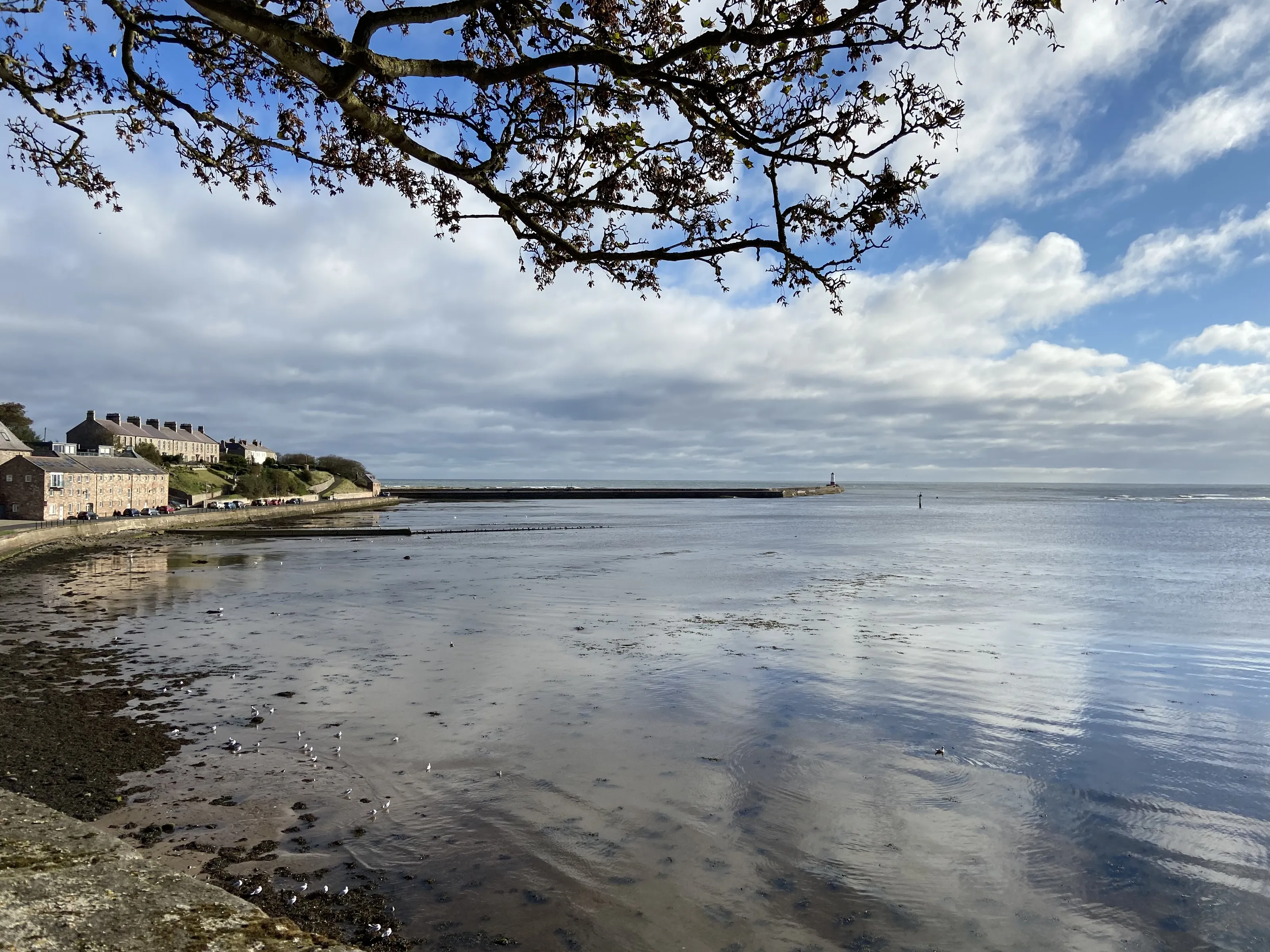 River Estuaries (in colour)