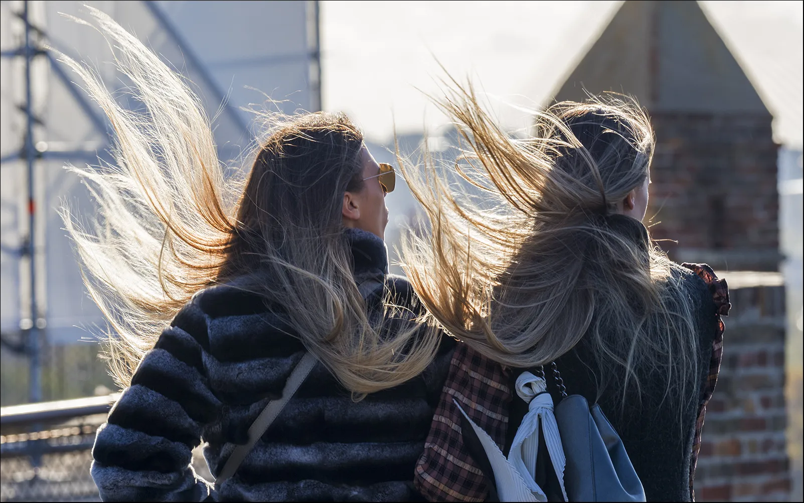 Moved by the Wind