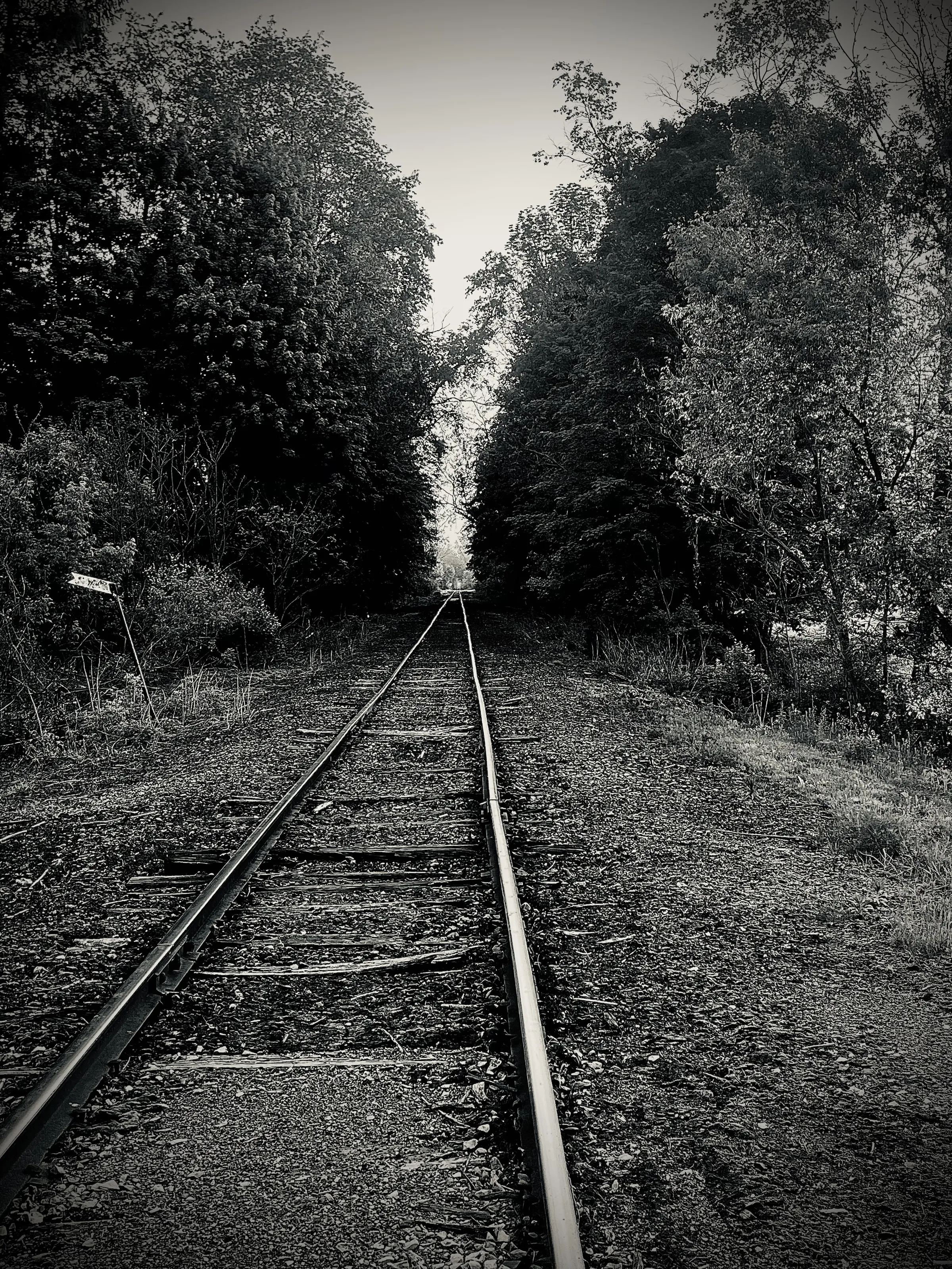 Train Tracks