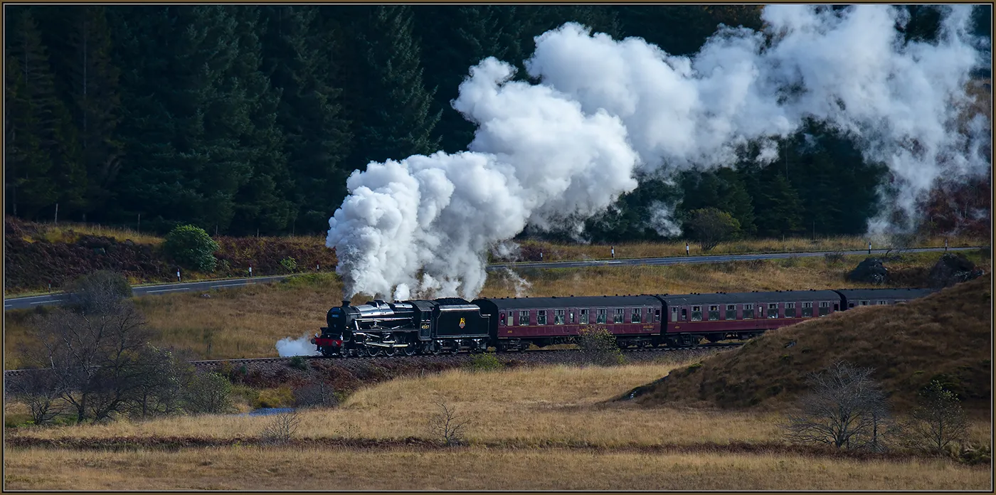 Trains