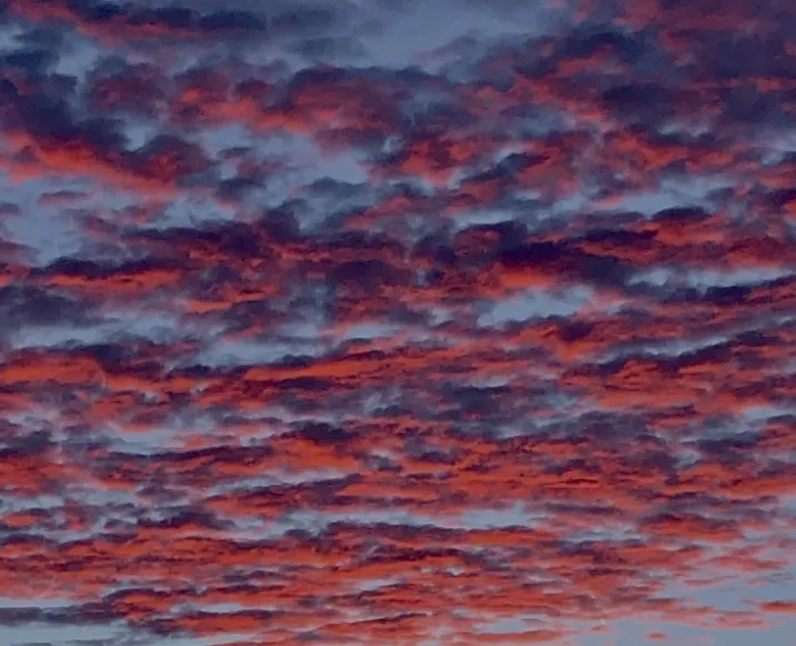 Pink Skies (in colour)