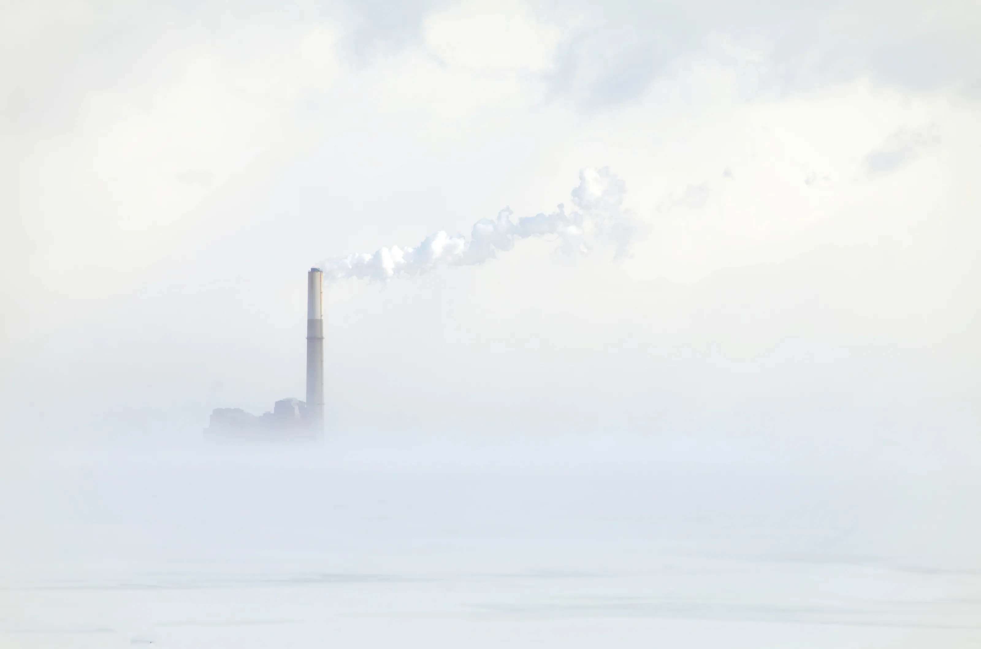 Fog