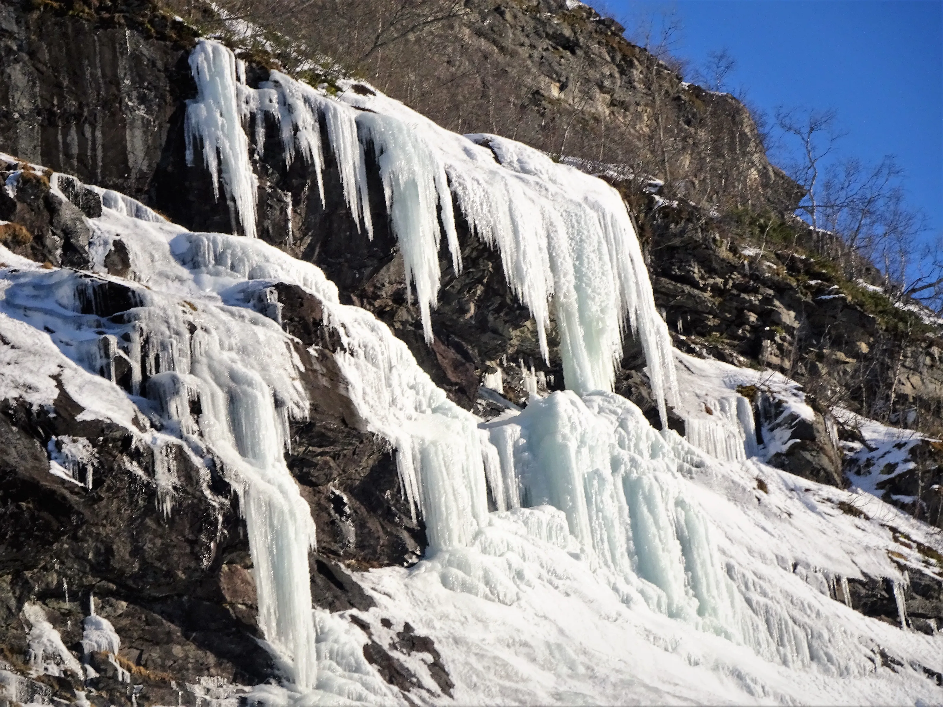 Frozen Nature (in colour)