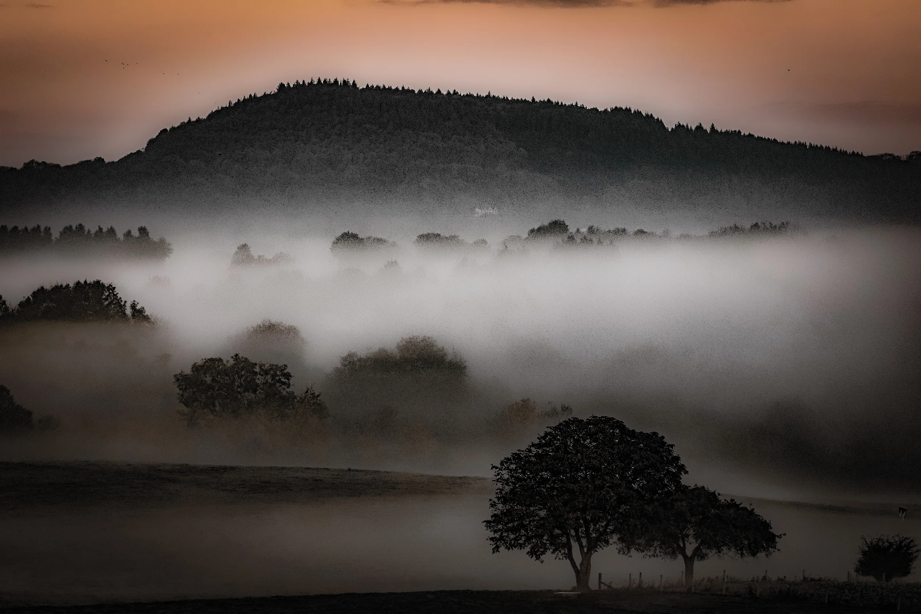 Misty Mornings