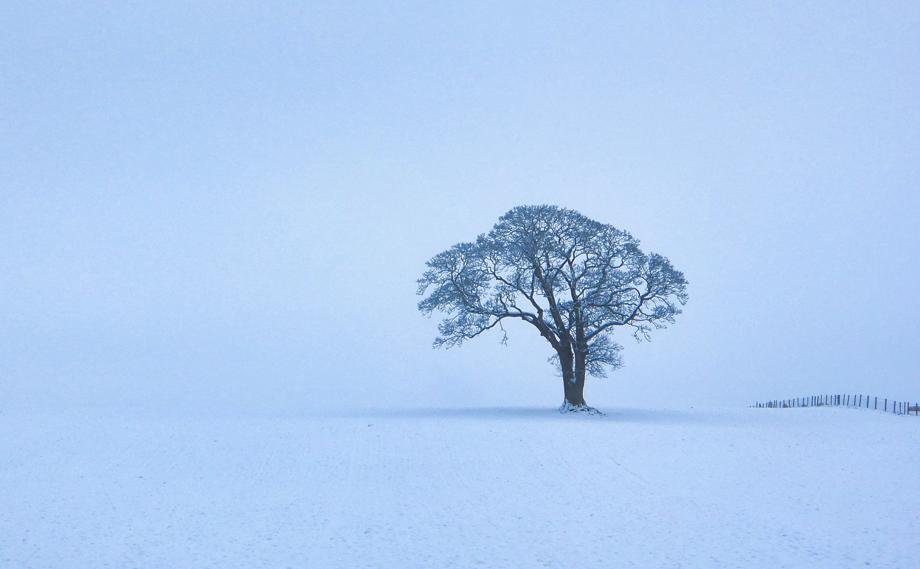 Minimalist Snowy Winter