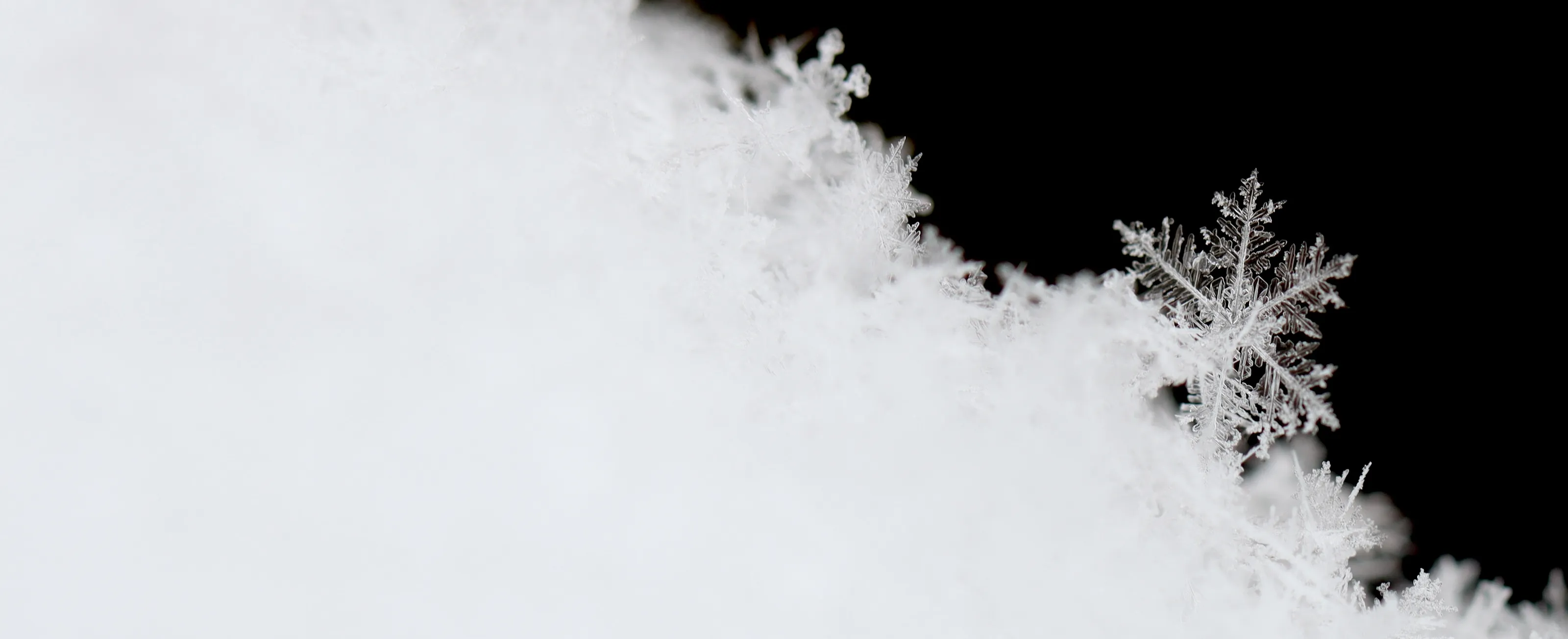 Snowflakes