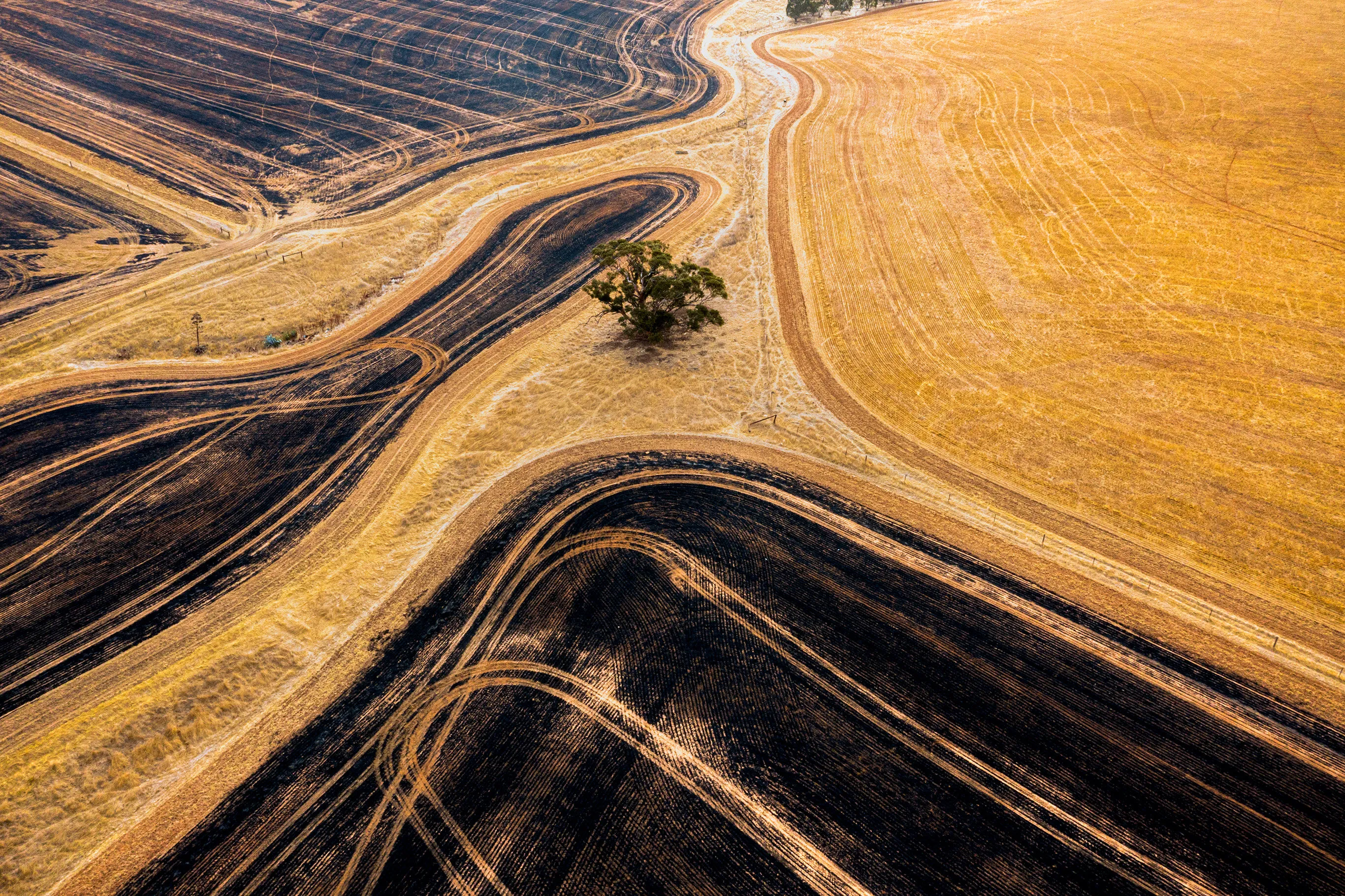 Drone Photography