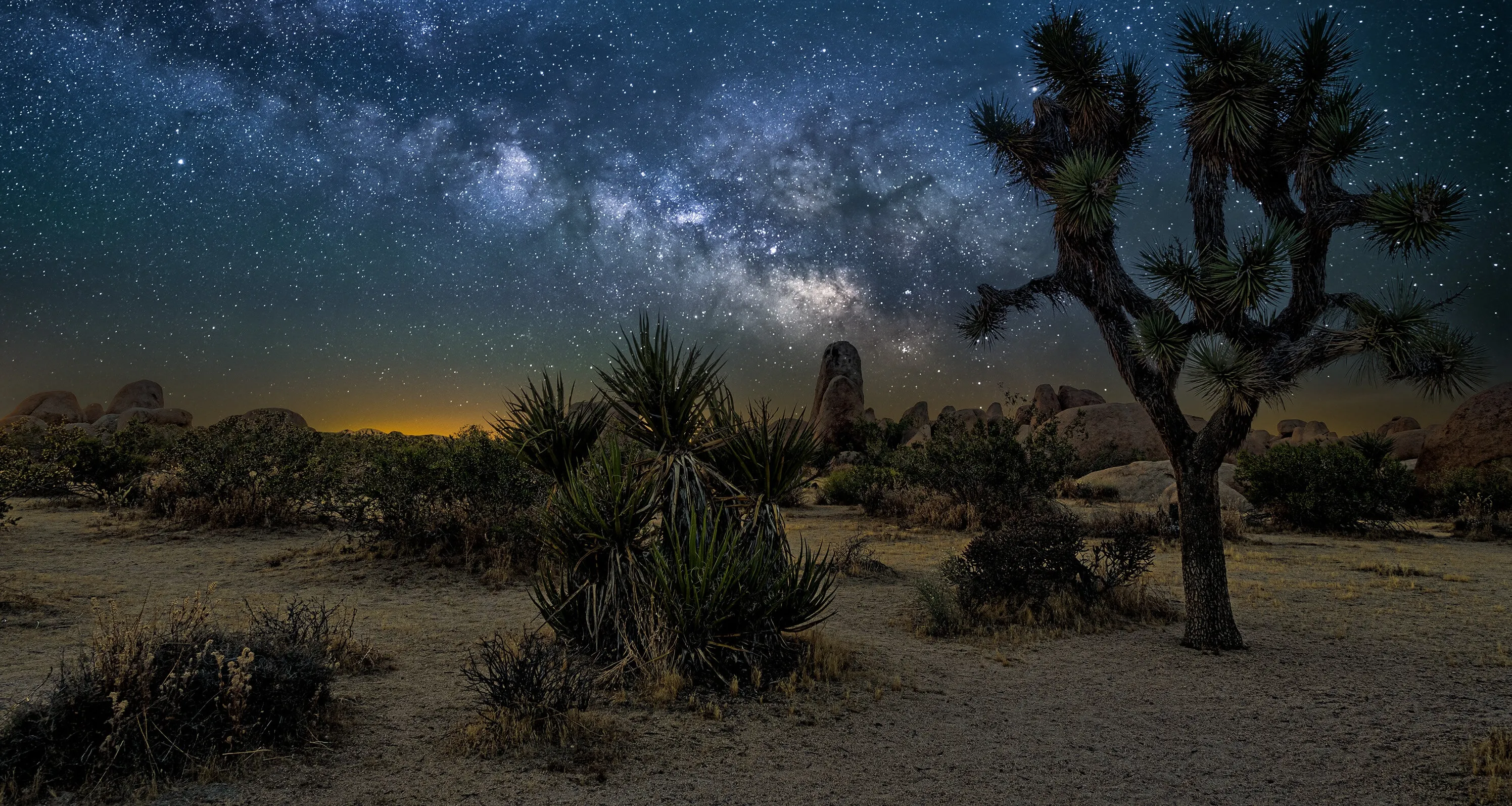 Starry Nights