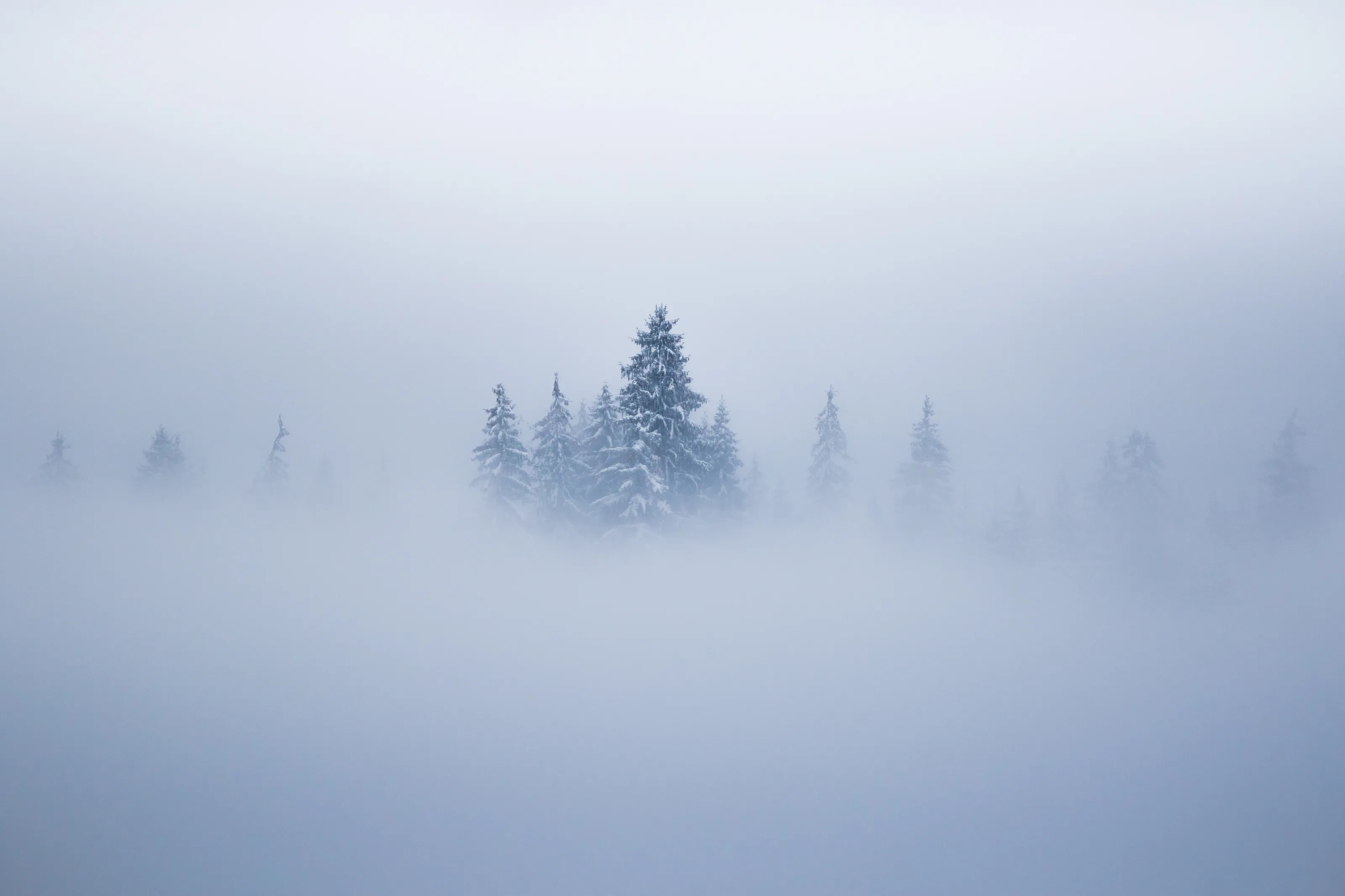 Minimalist Landscapes