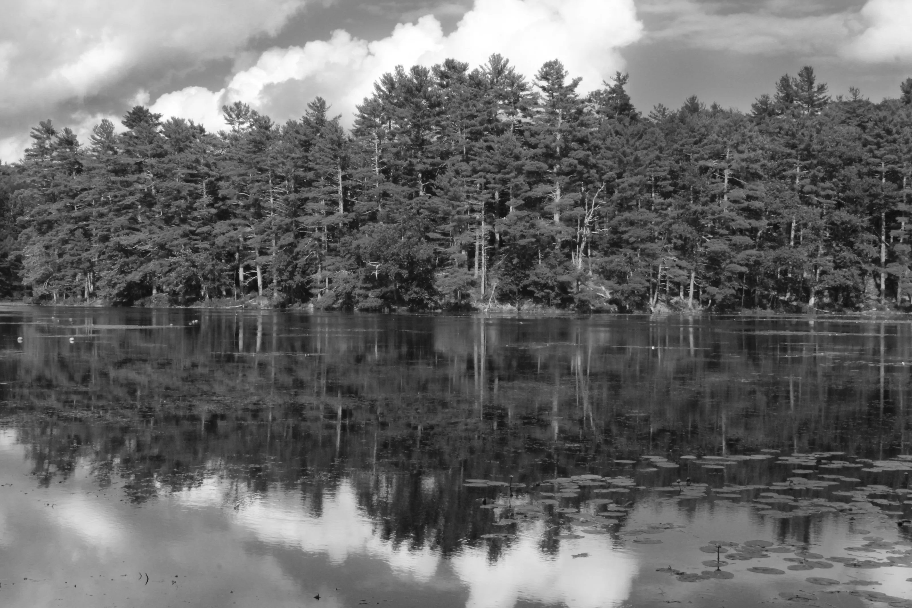 Lake Reflections in Black and White