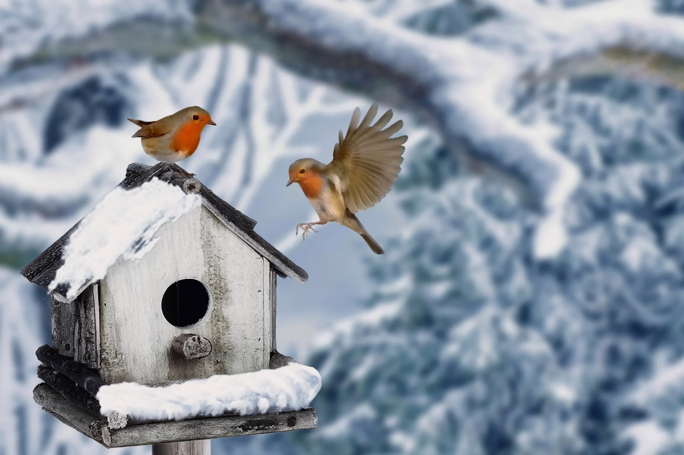 Manmade Birdhouses
