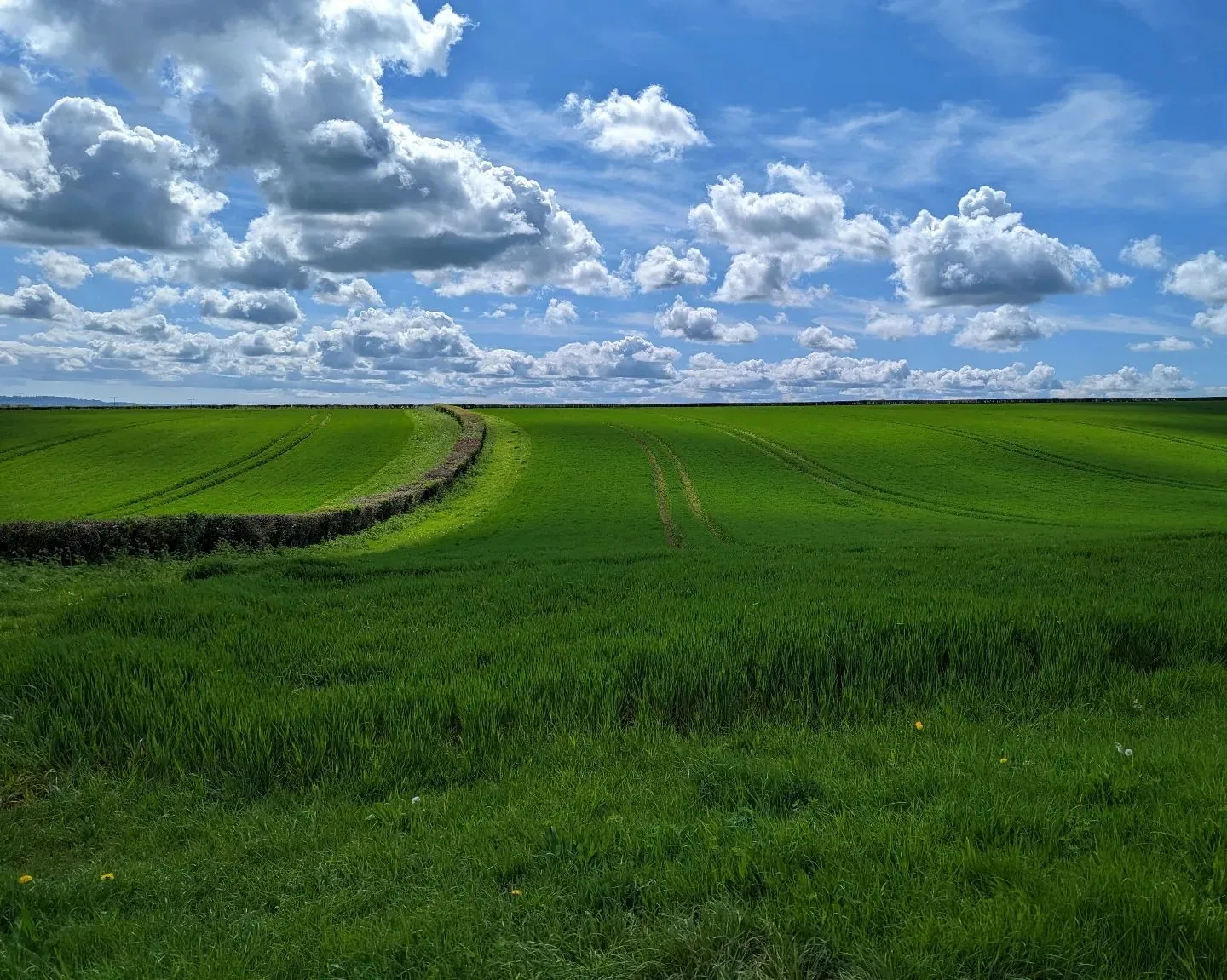 The English Countryside