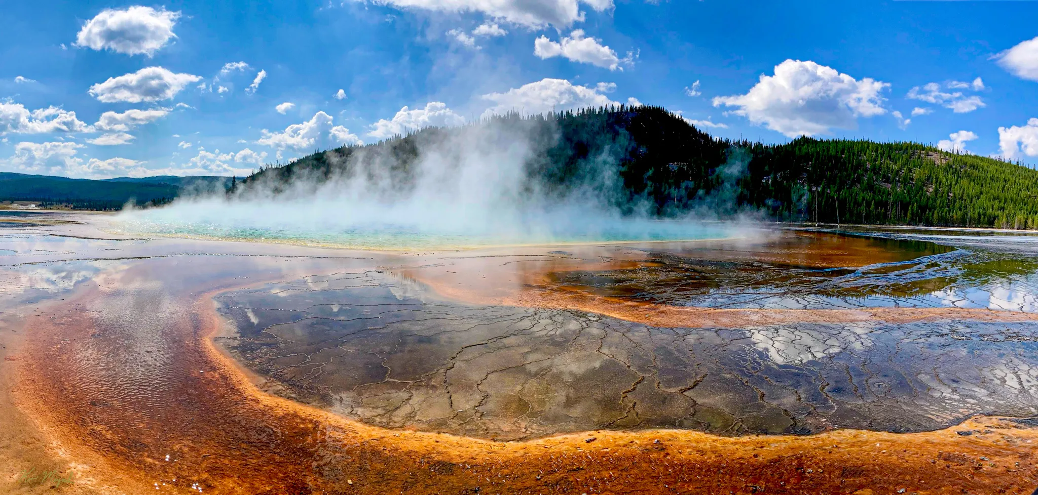 The Wonder of the Natural World (in colour)