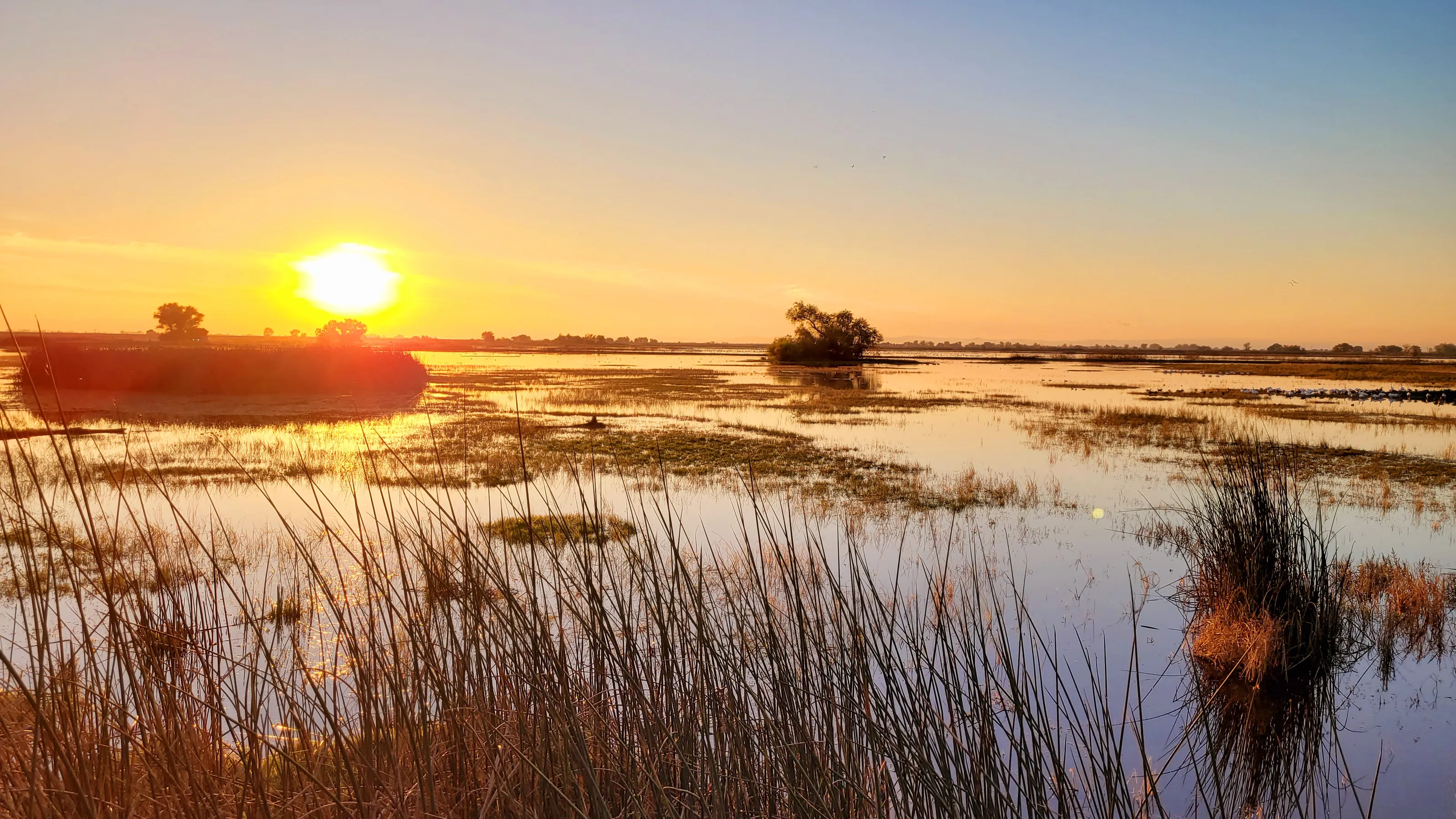 Sunrise and Sunset in Rural Areas (in colour)