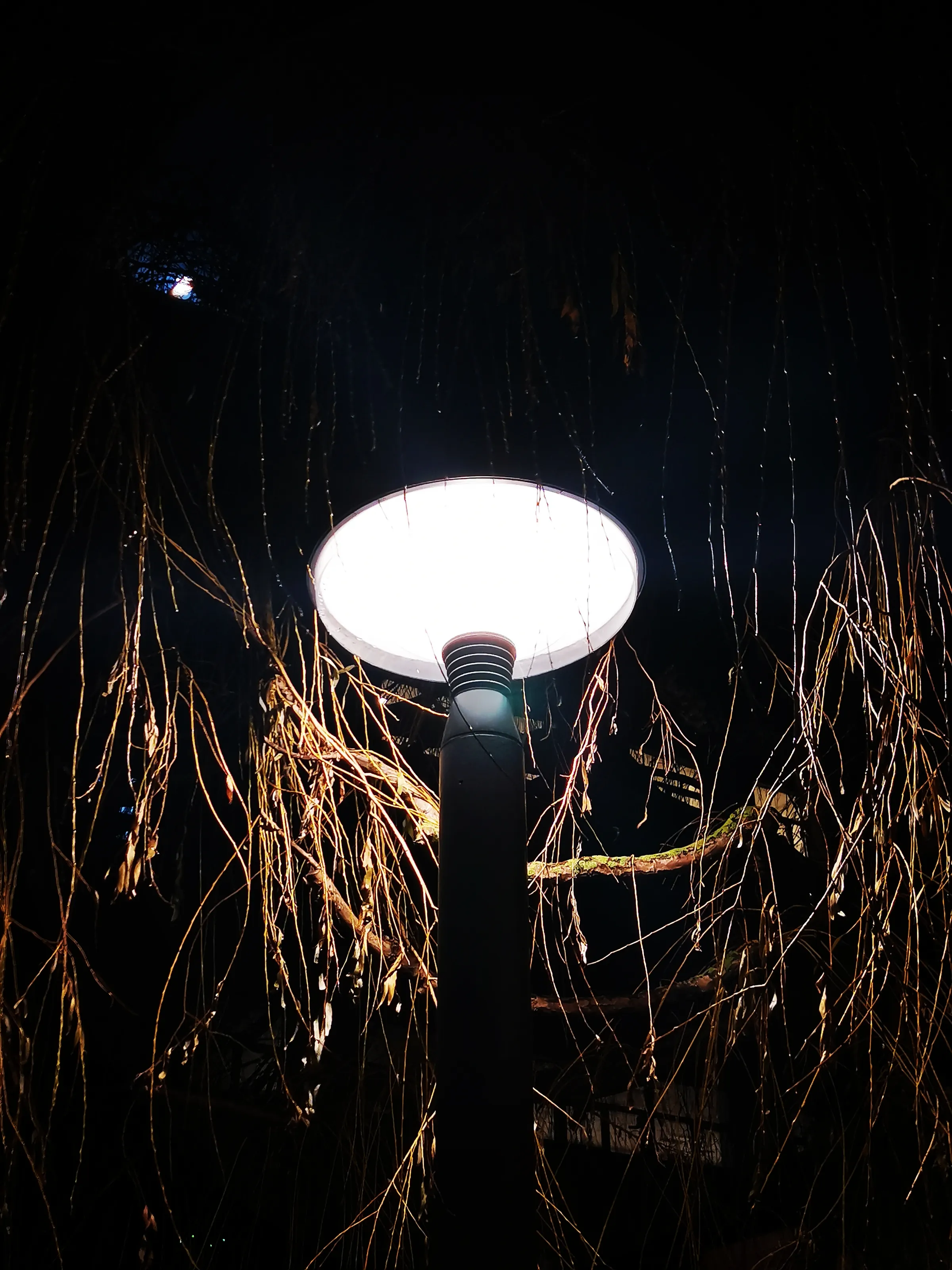 Street Lamps Illuminated at Night