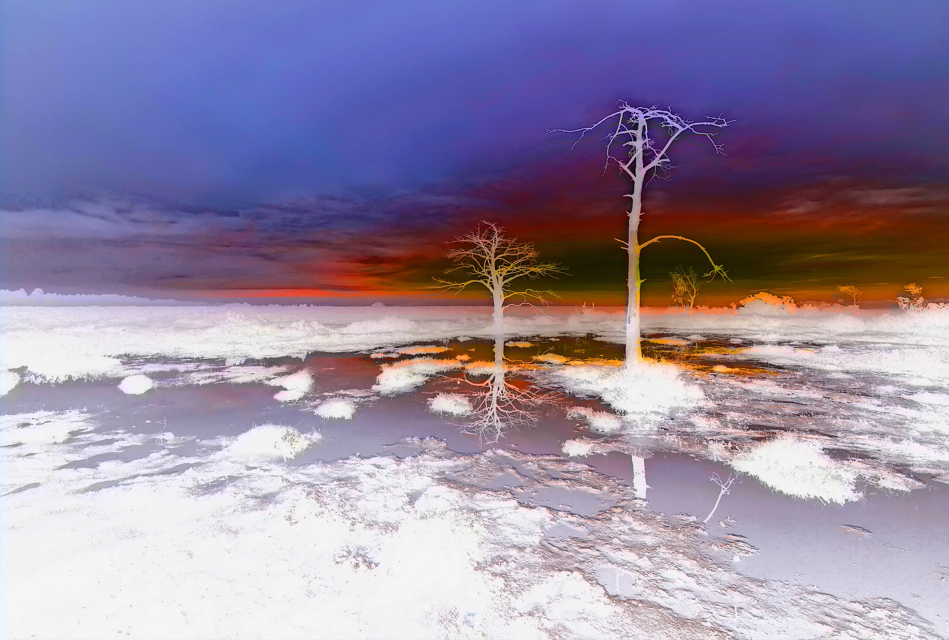 Inverted Colours (in colour)