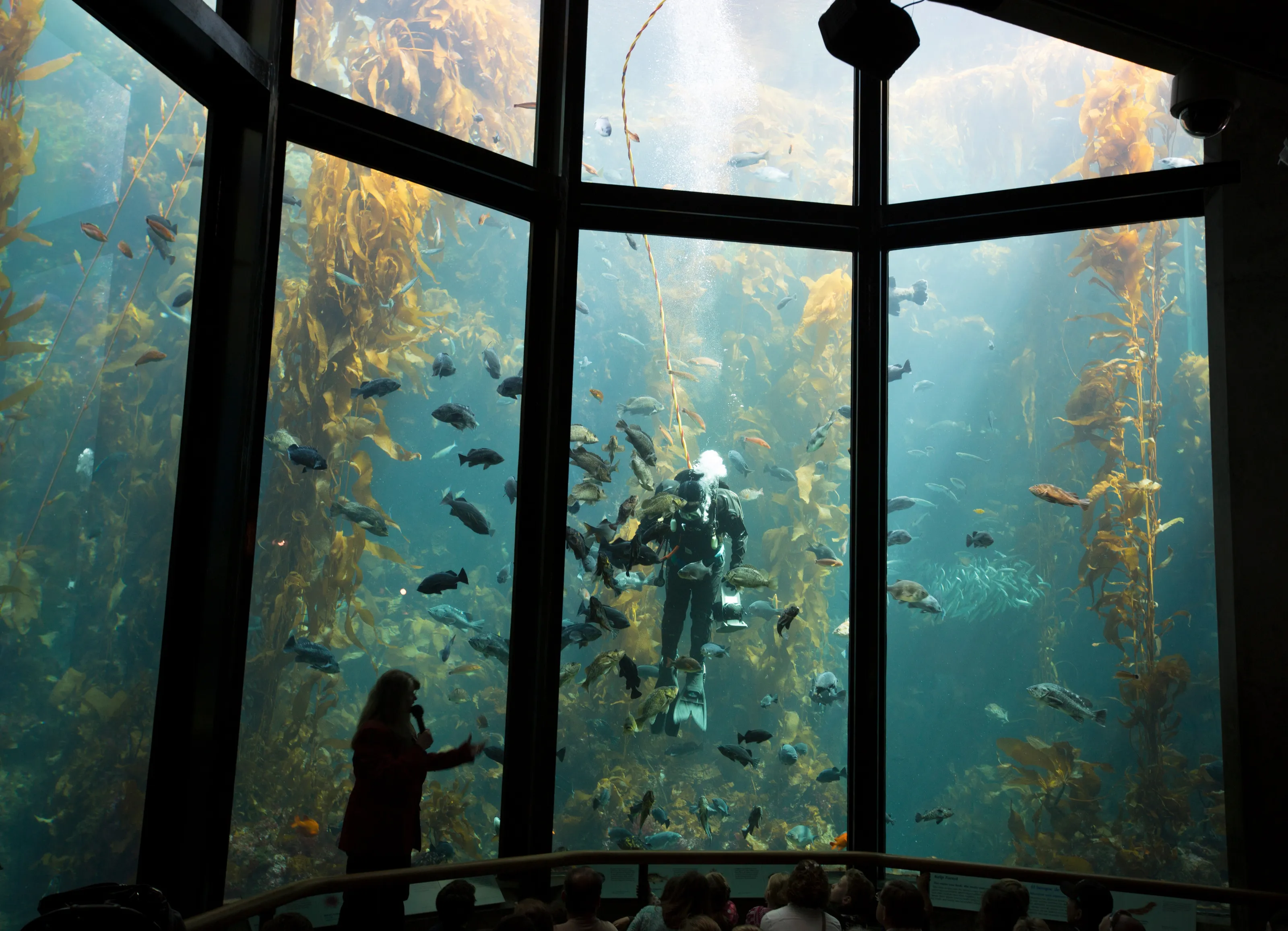 Aquariums