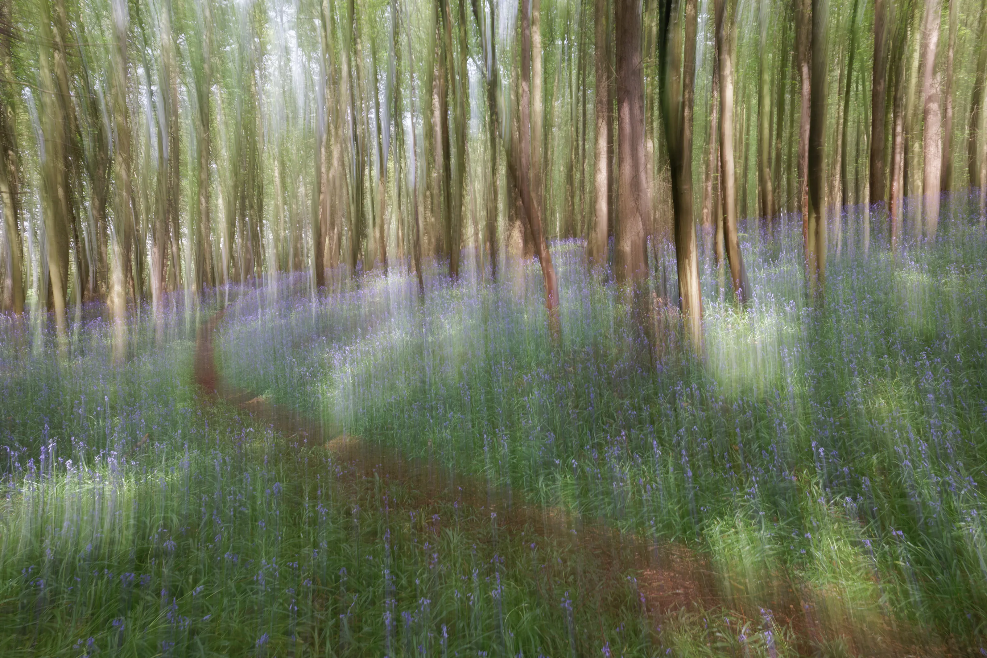 Nature using Intentional Camera Movement