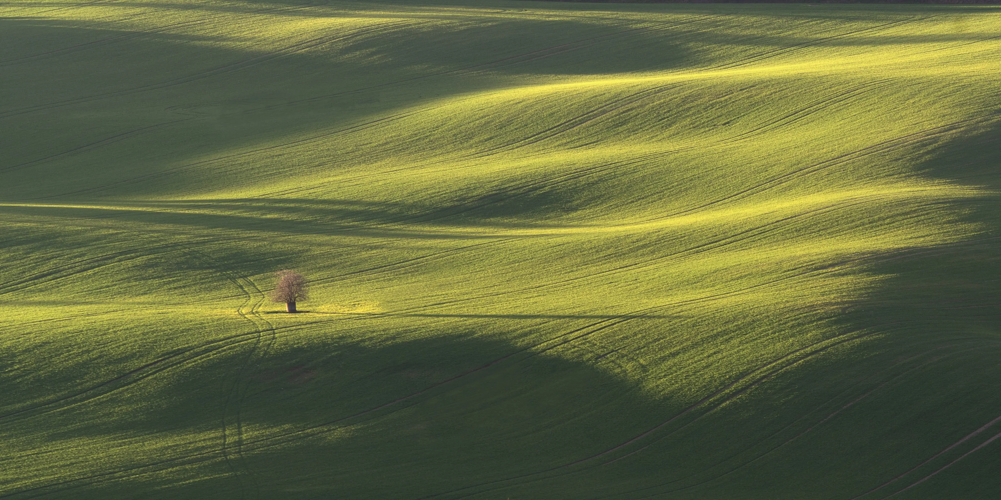 New Joiners - Landscapes #762