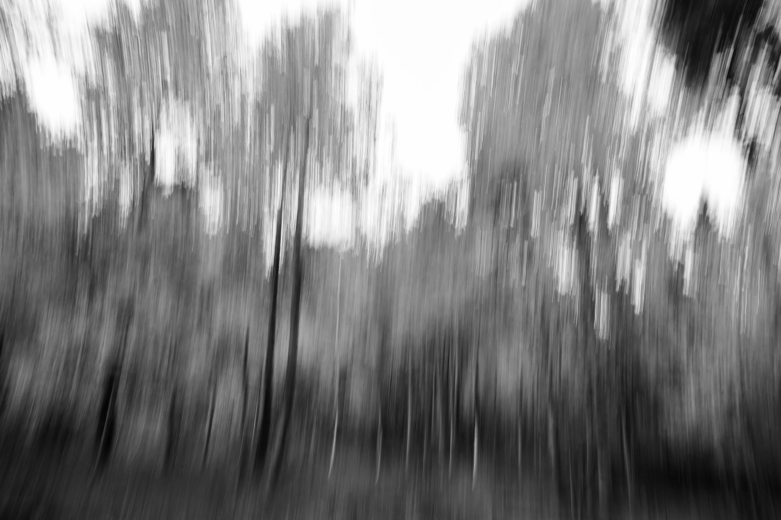 Abstract in Black and White