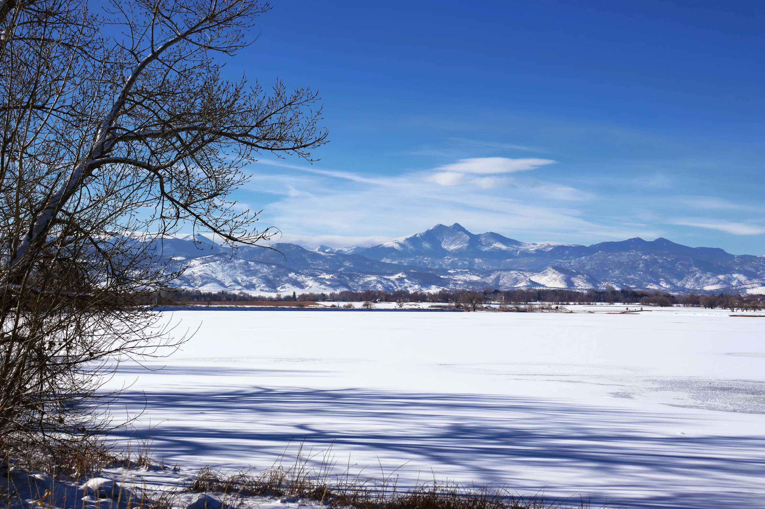 Snowscapes (in colour)