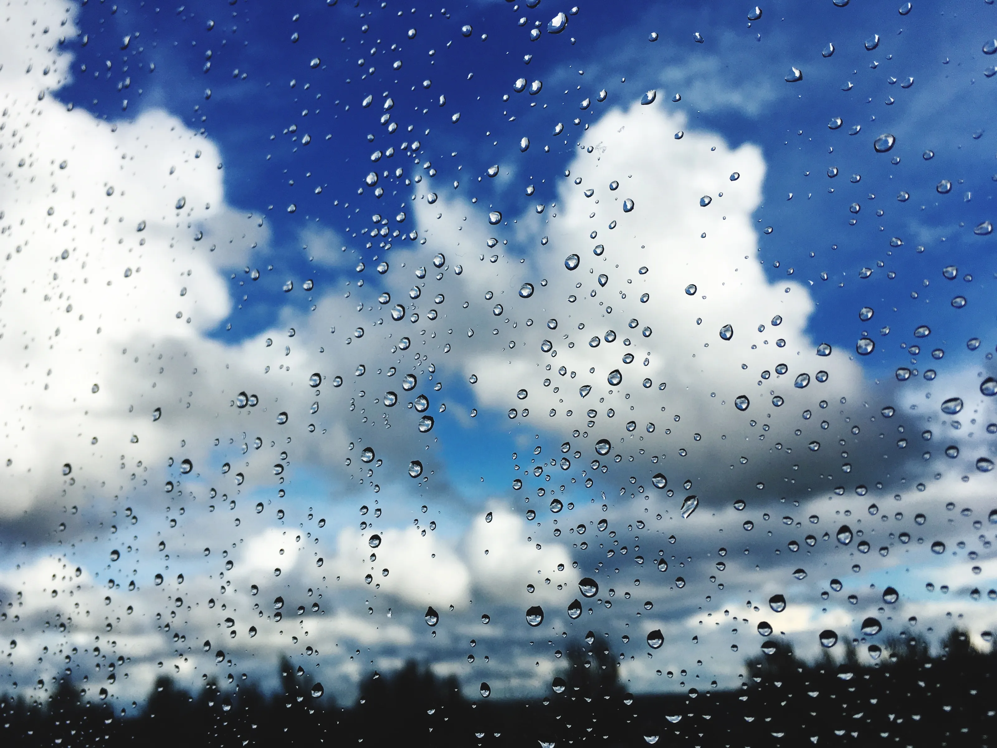 Whatever the Weather
