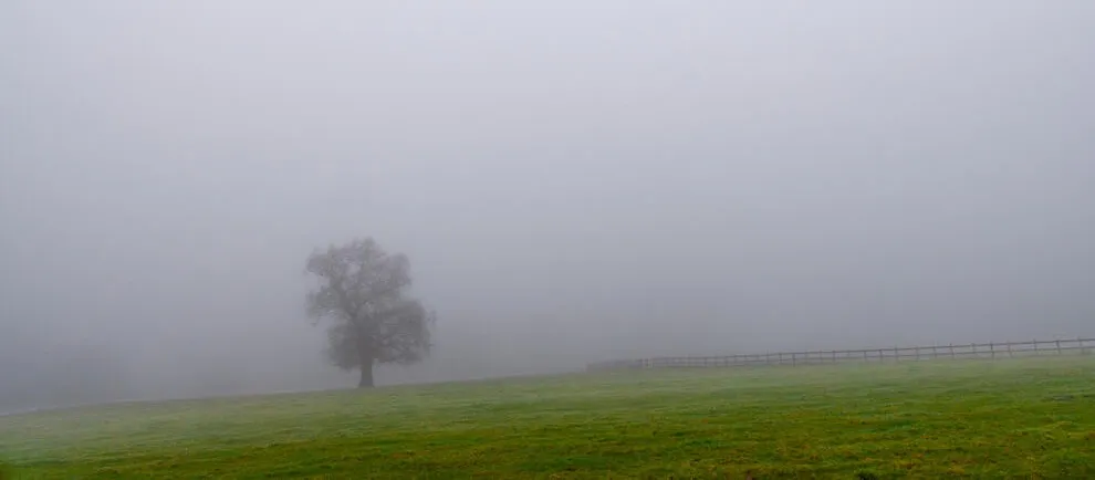 Mist and Fog