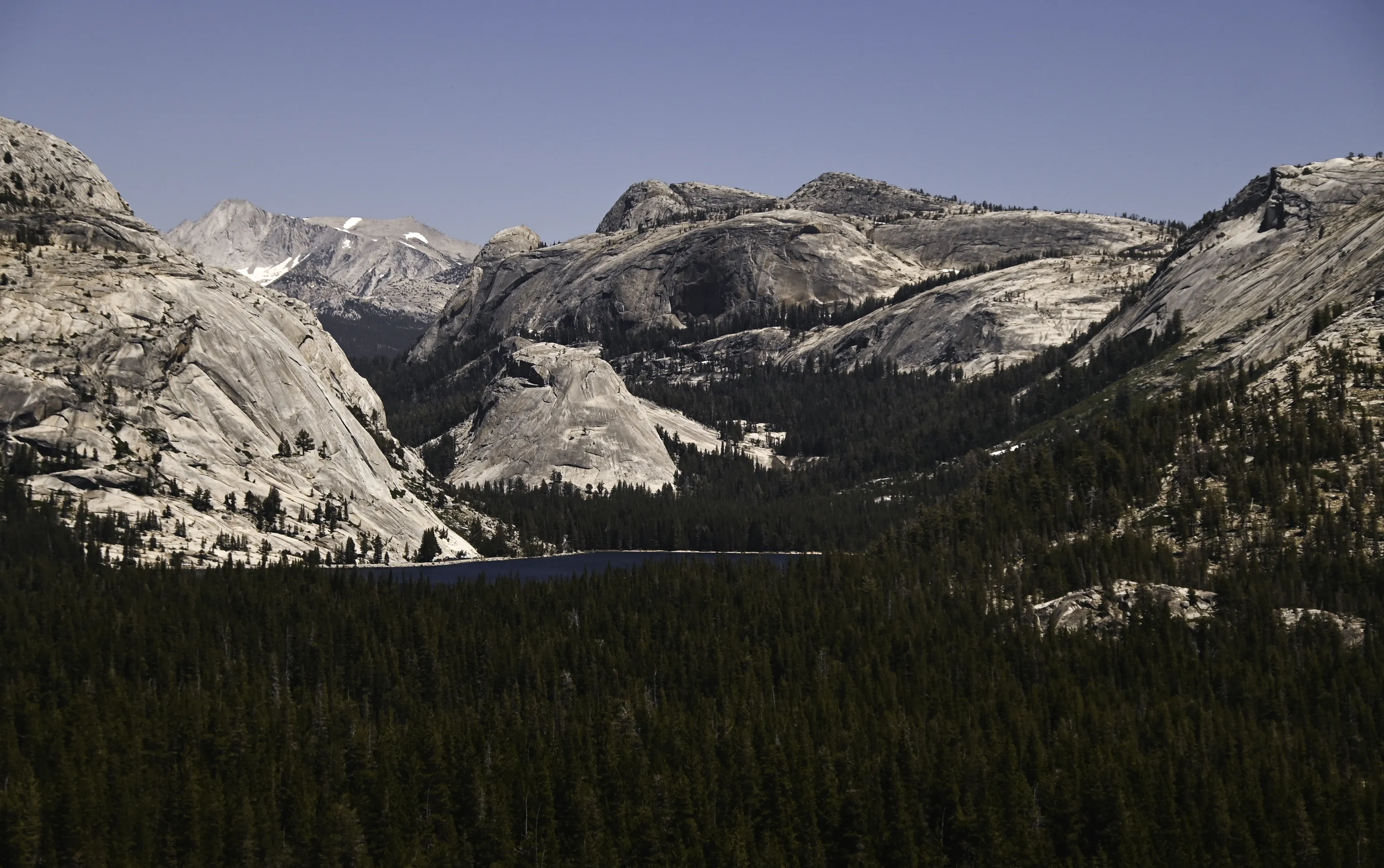 Pure Nature Landscapes