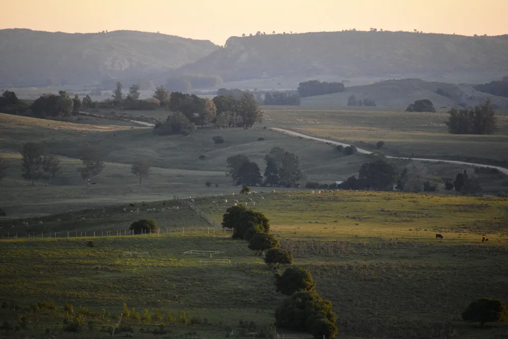 Landscapes