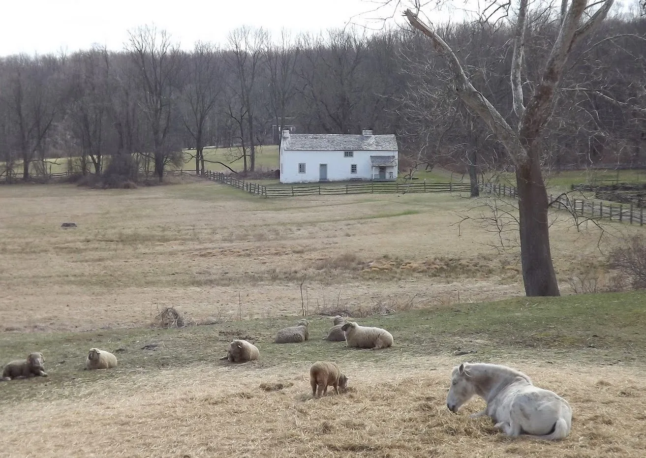 On the Farm