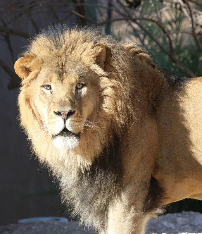 At the Zoo