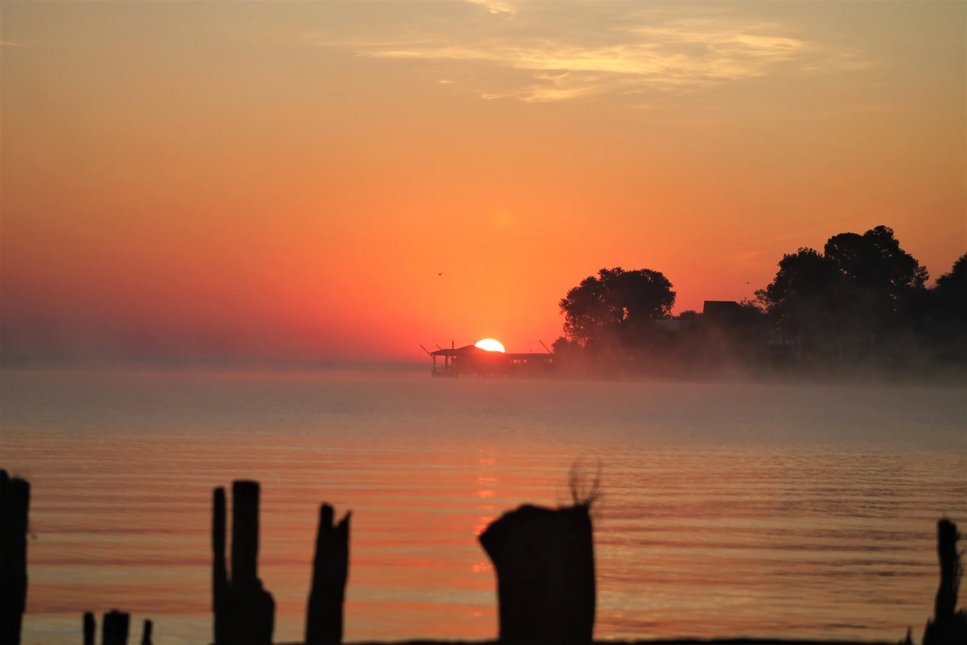 Misty or Foggy Sunrises and Sunsets