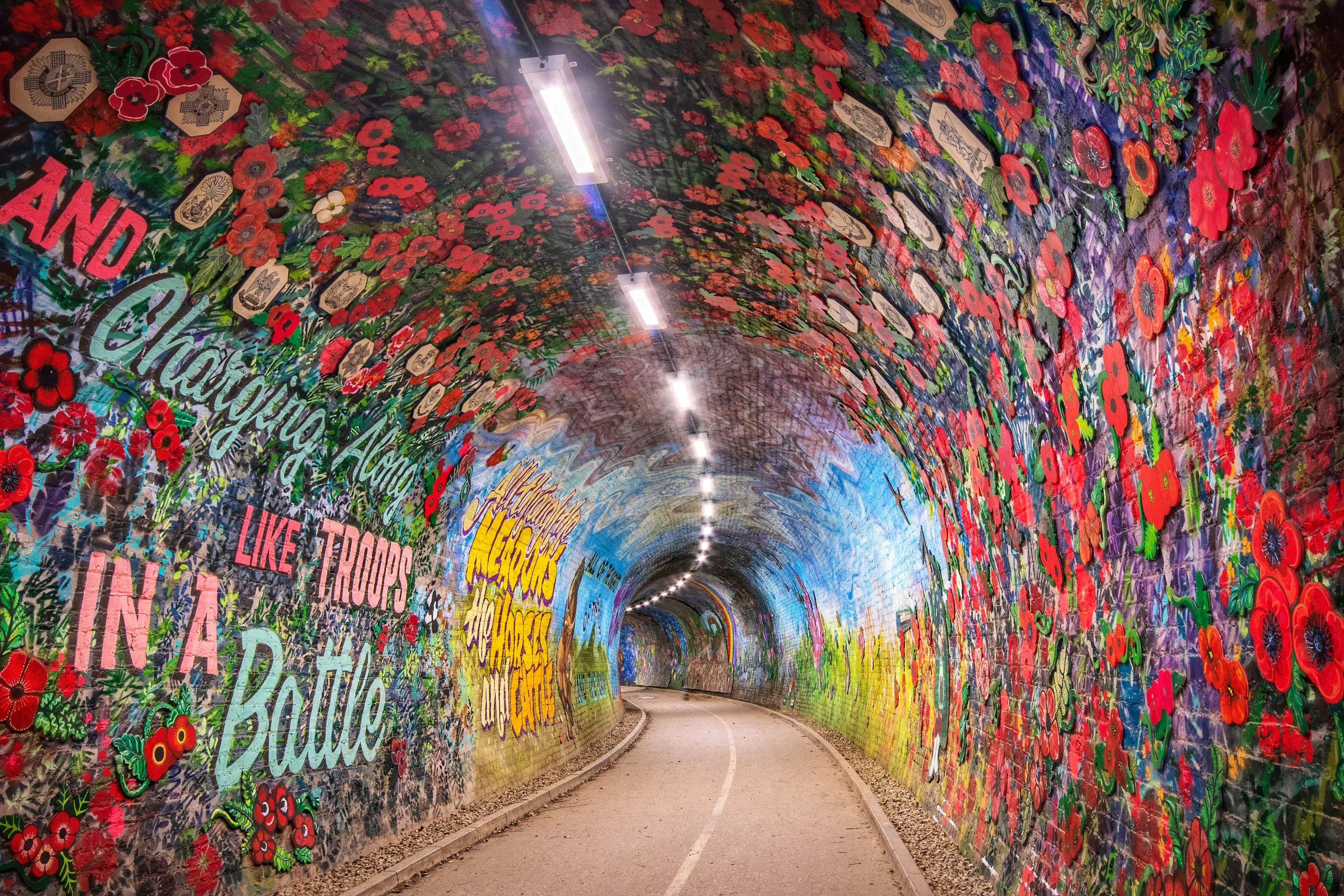 Bridges and Tunnels