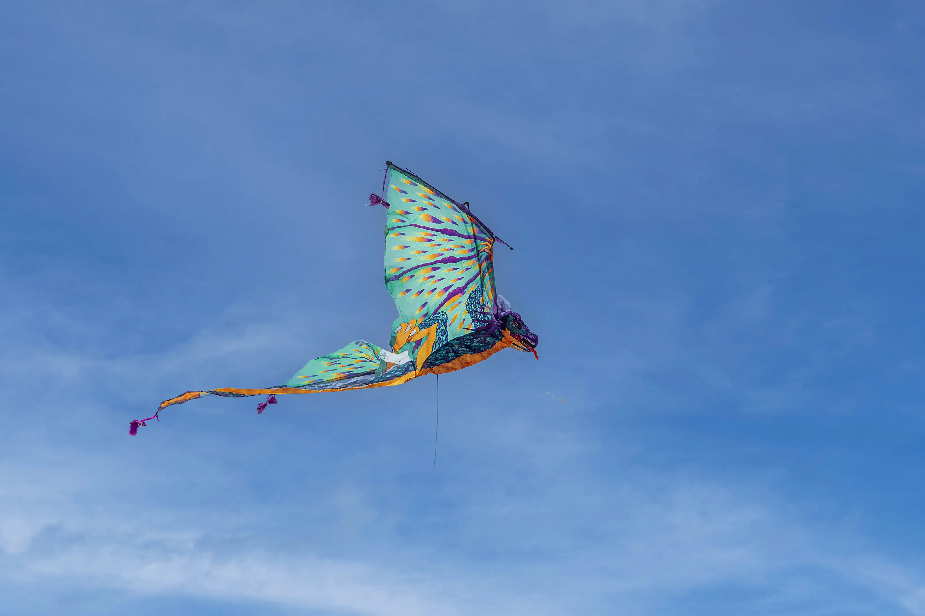 Kites in Colour (not the birds)