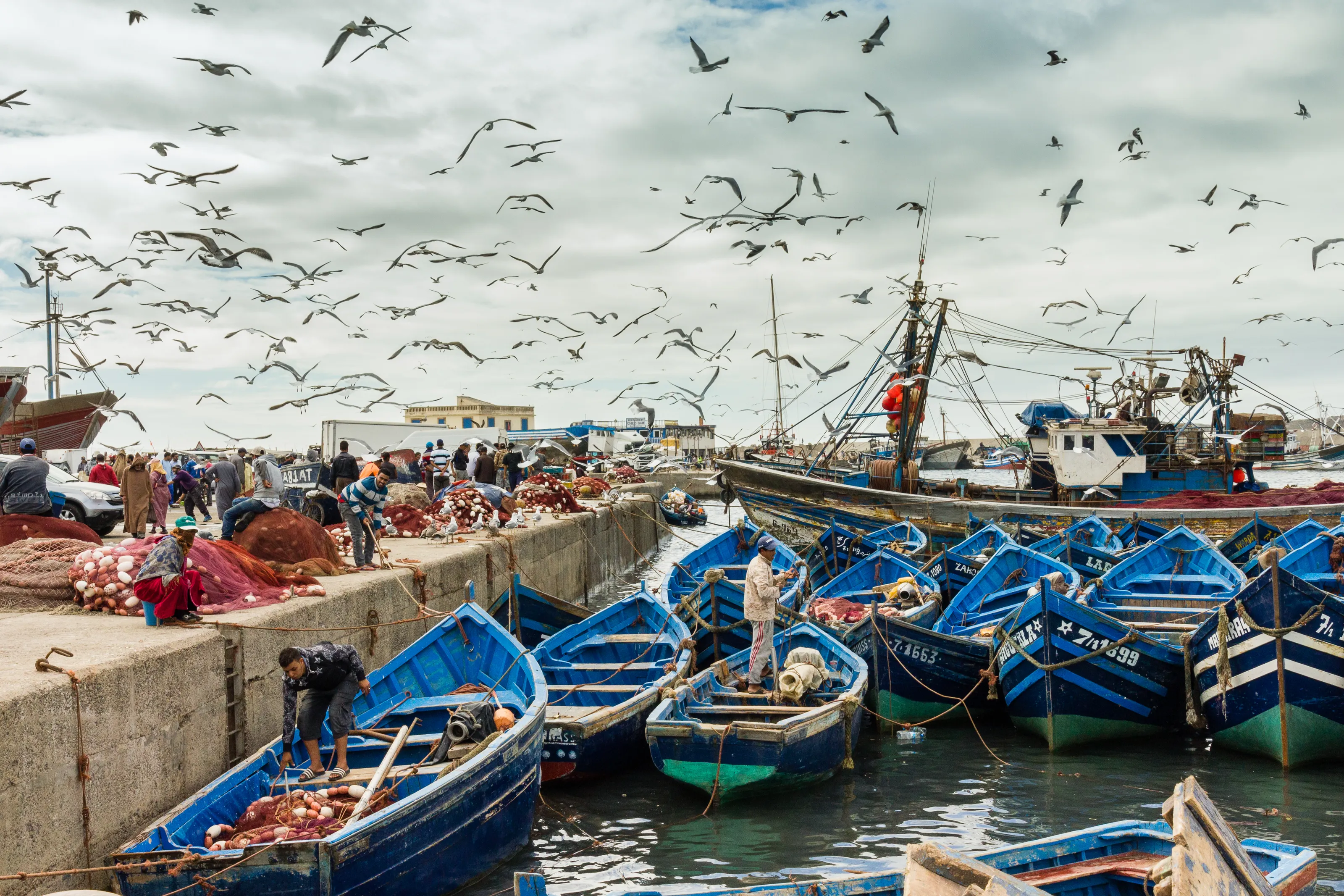 Harbour Life