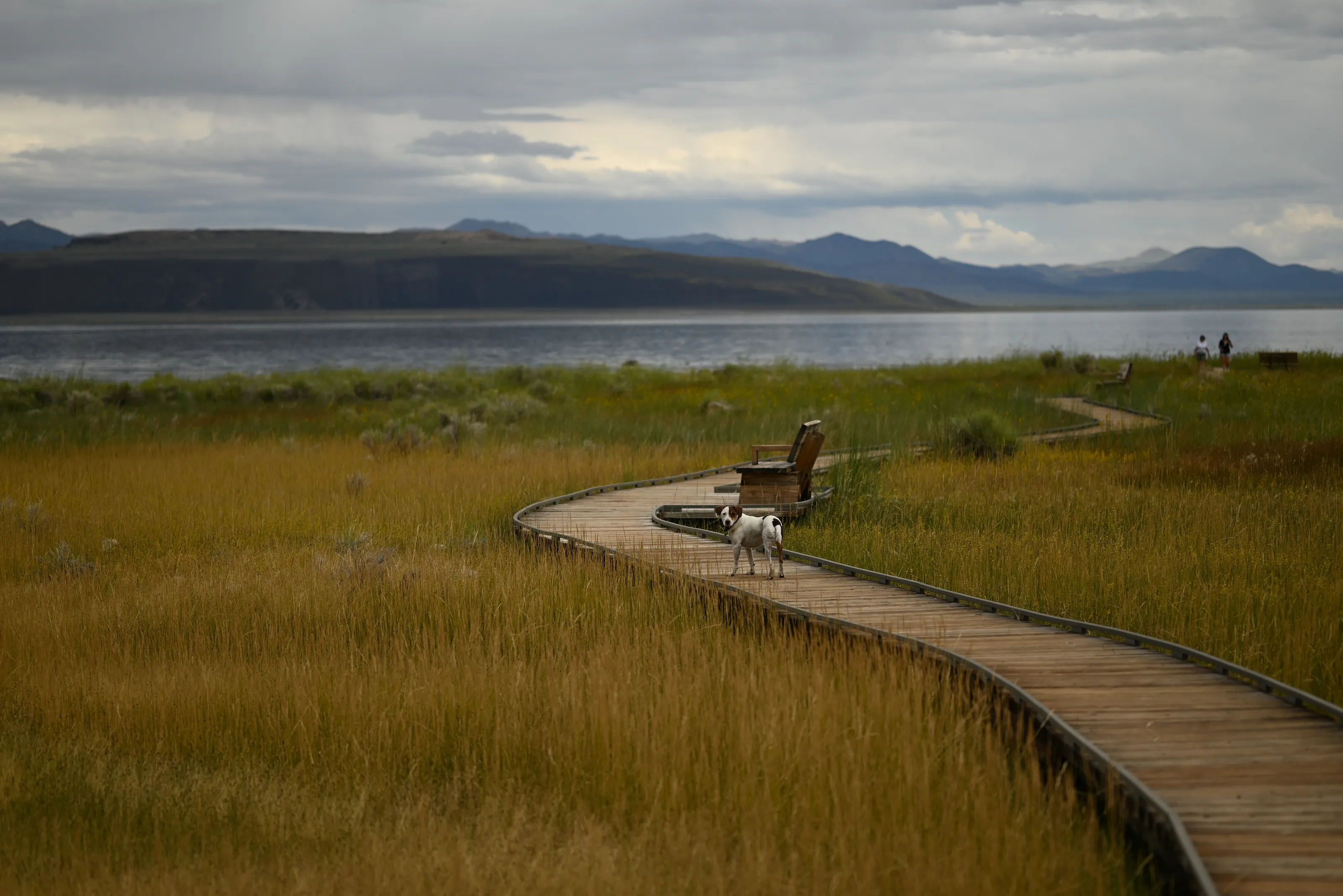Nature Landscapes Touched by Humans