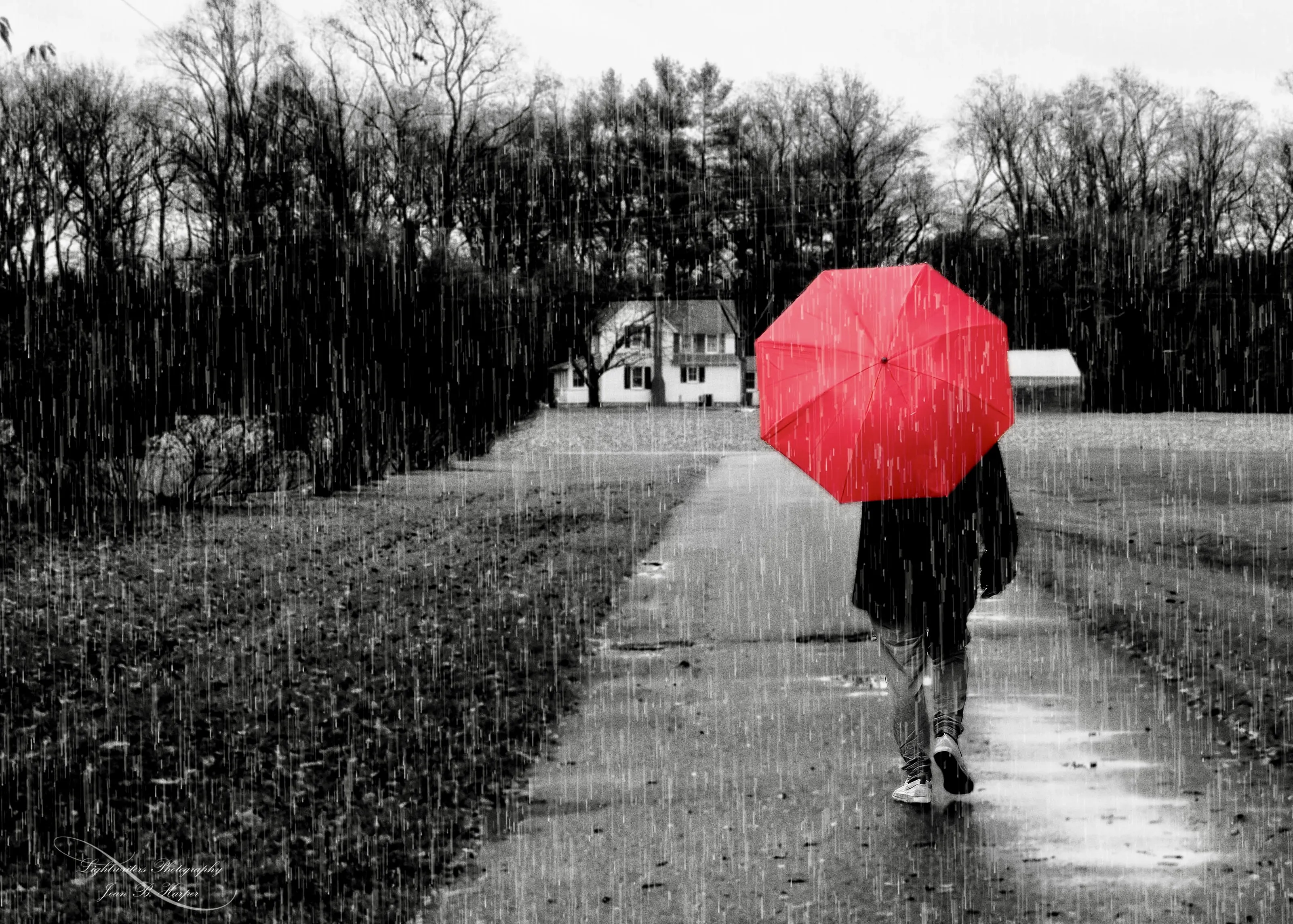 Umbrellas