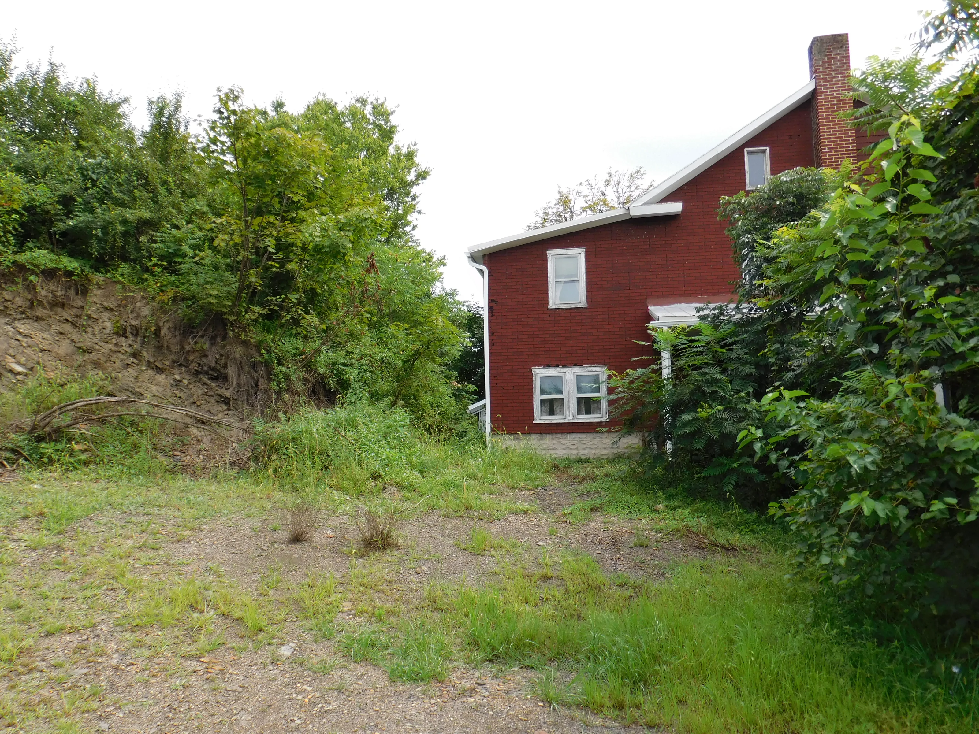 Gardens/Backyards of Dwellings (in colour)