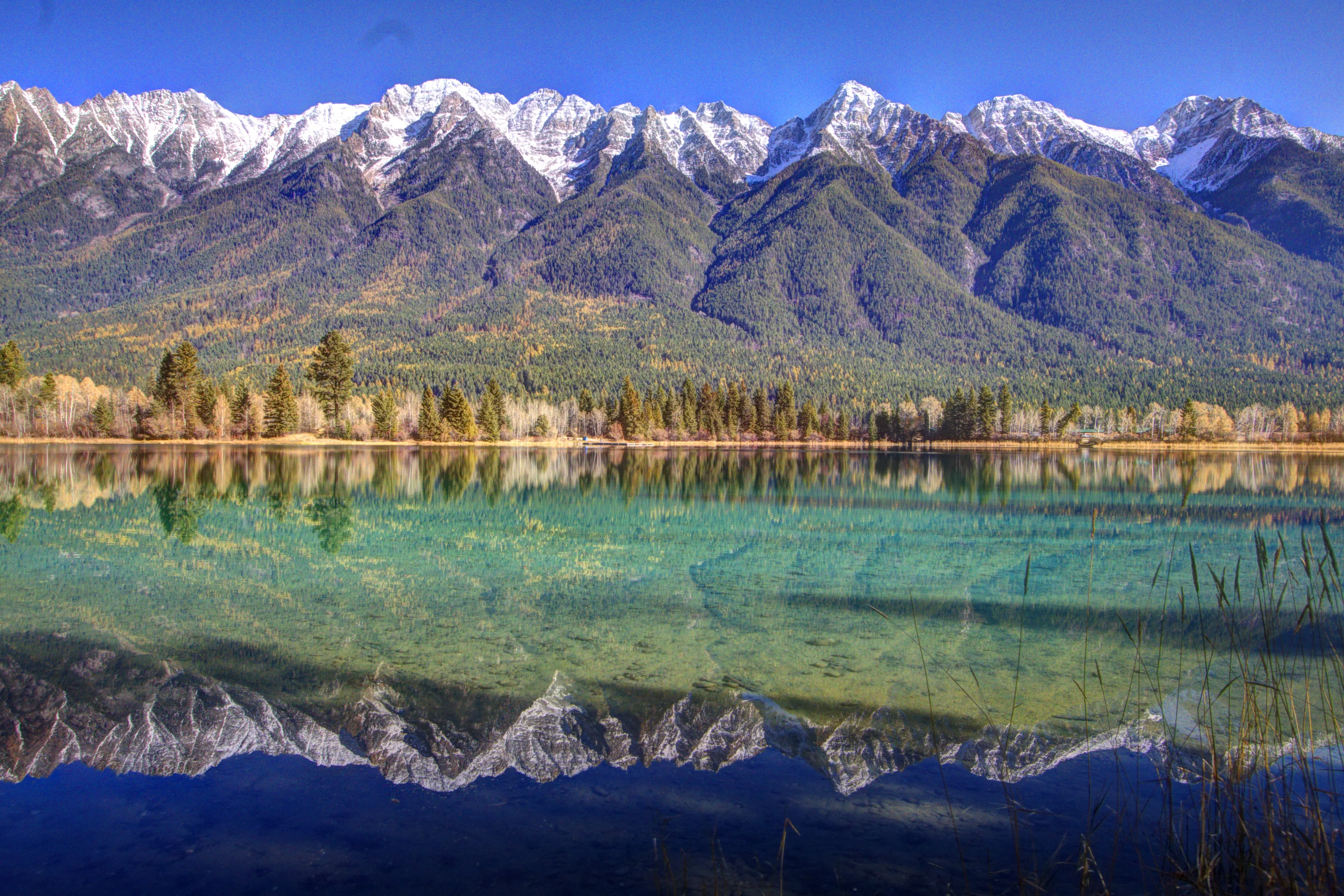 Reflections on Water