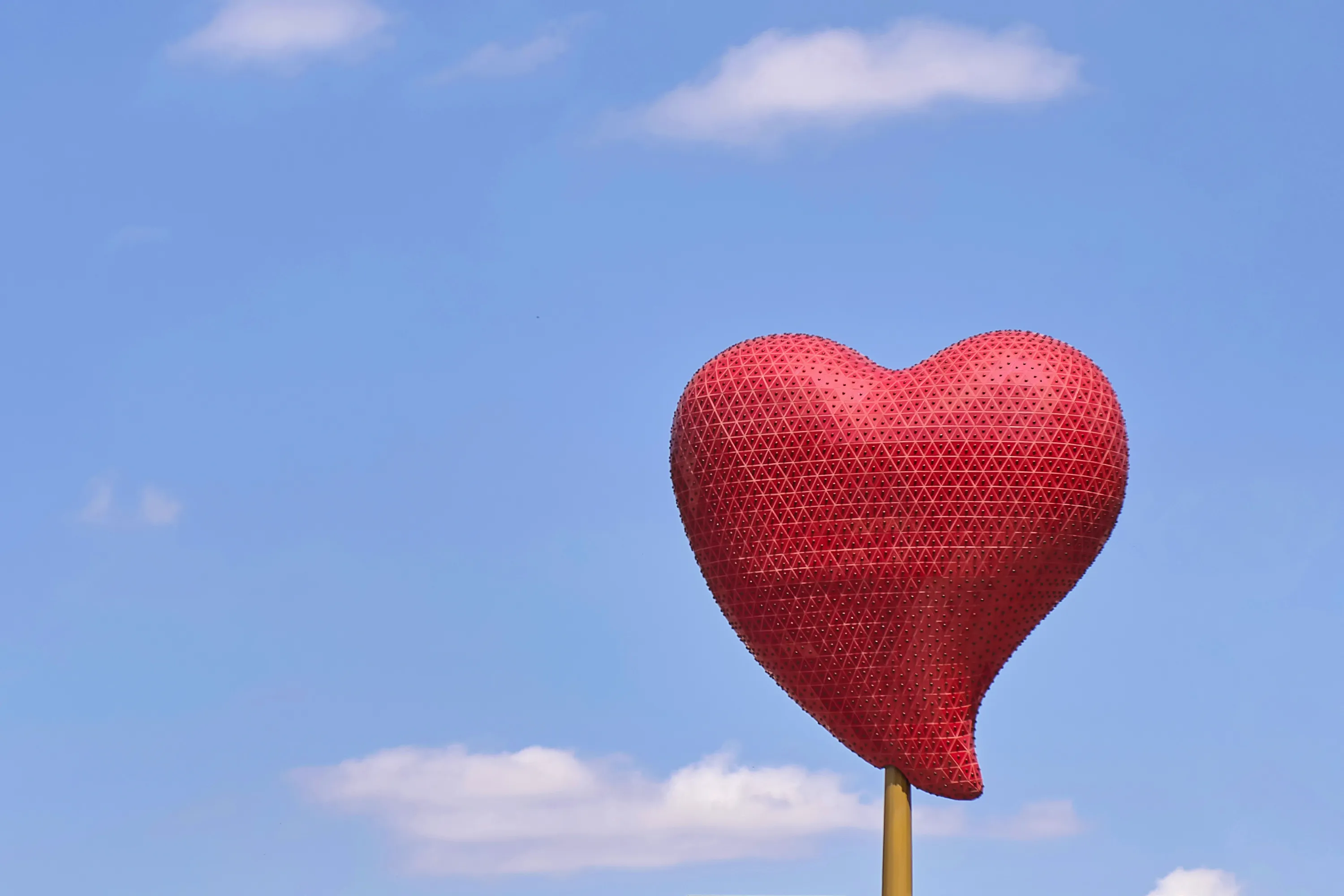Heart Shapes Outdoors