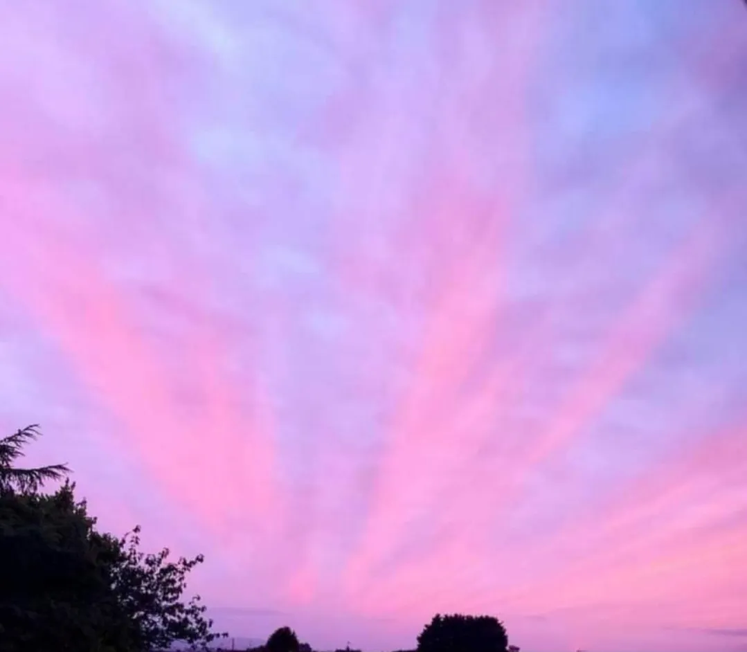 Daytime Skies