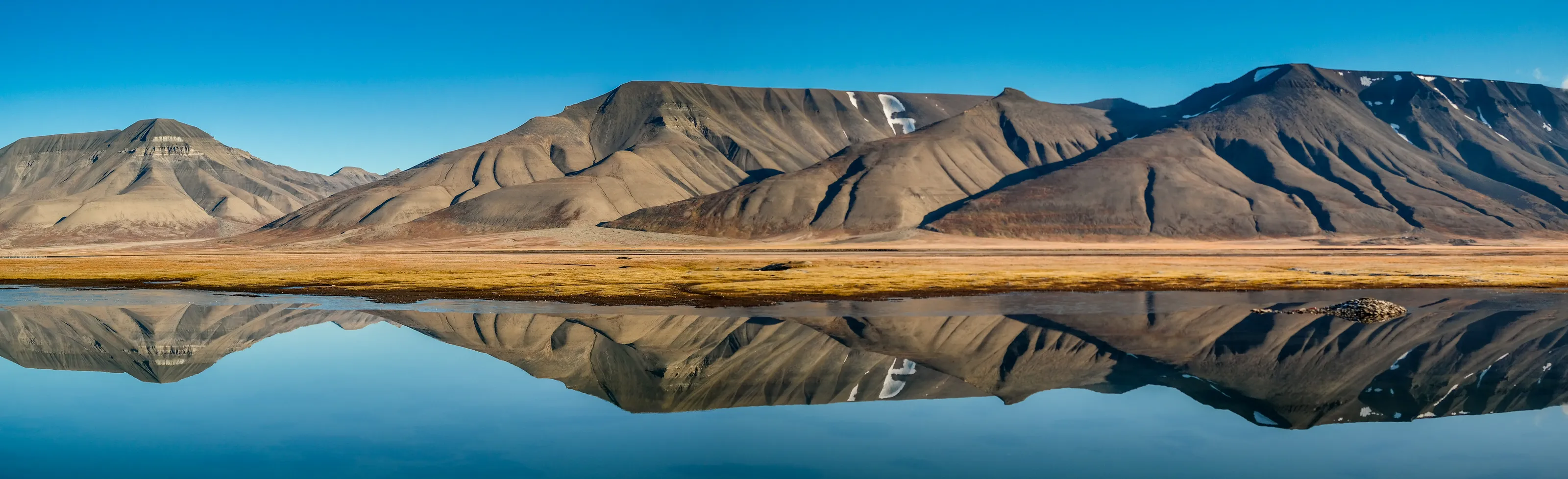Landscape Reflections in Water