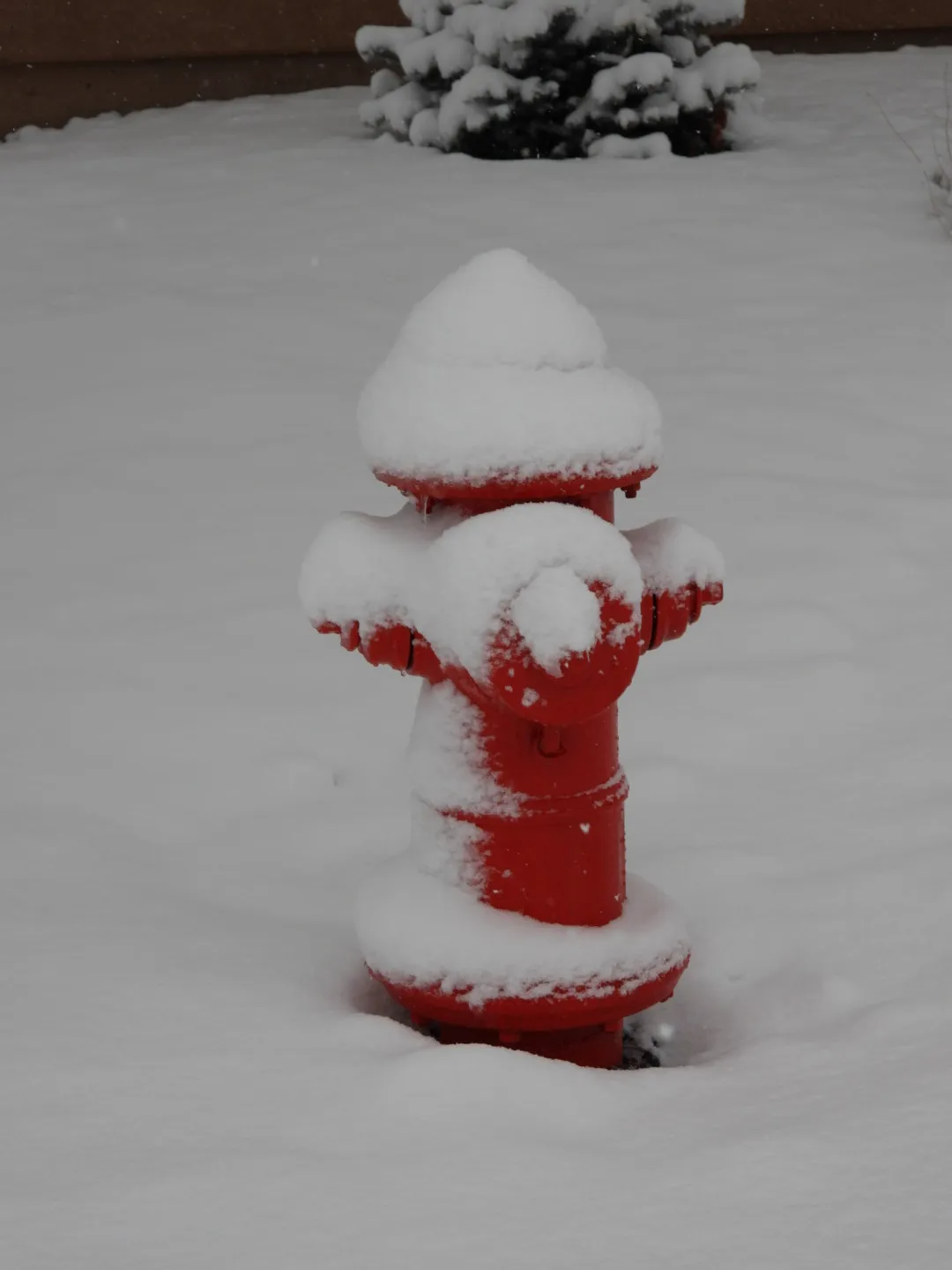 Fire Hydrants
