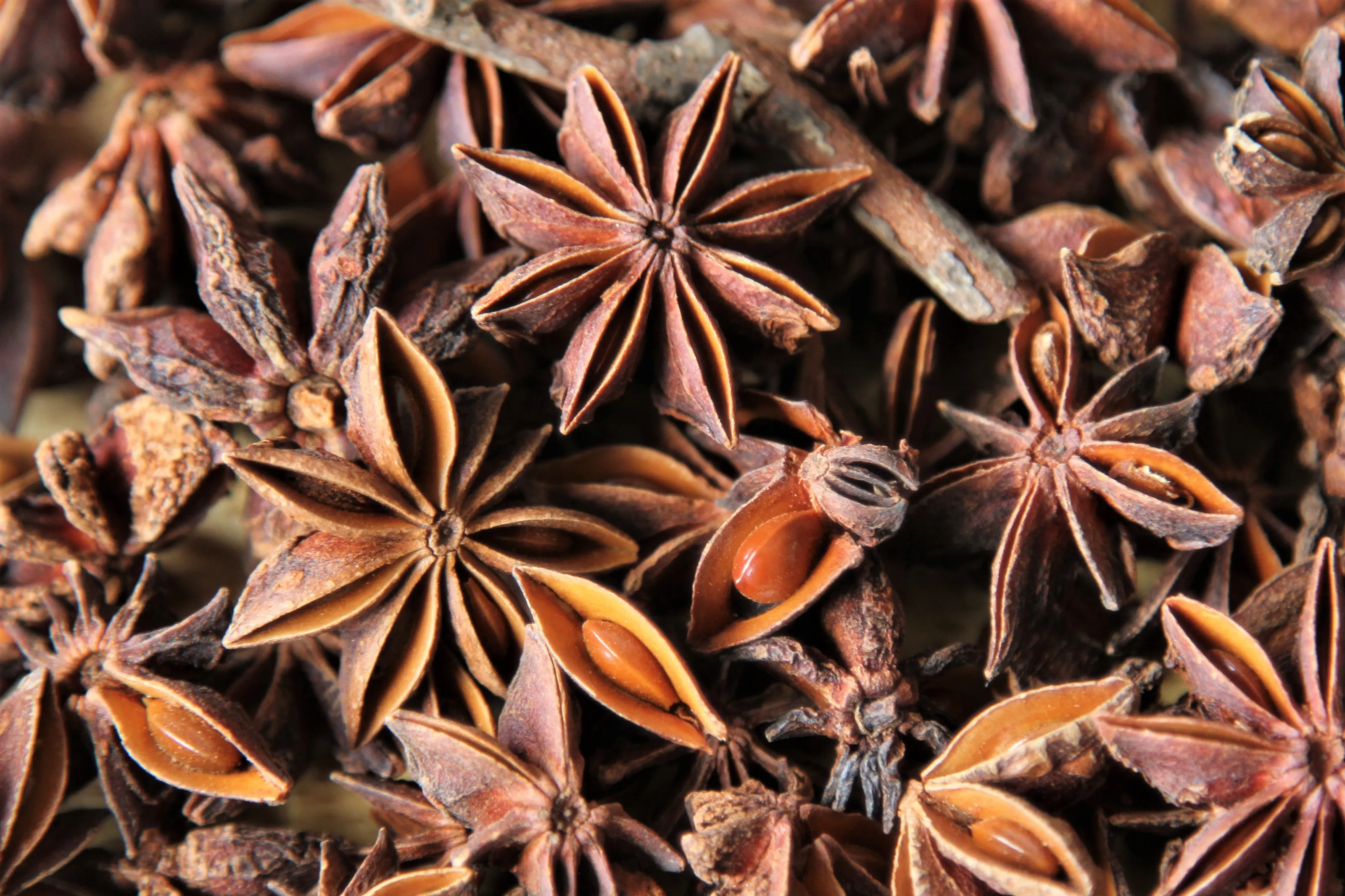 Herbs and Spices