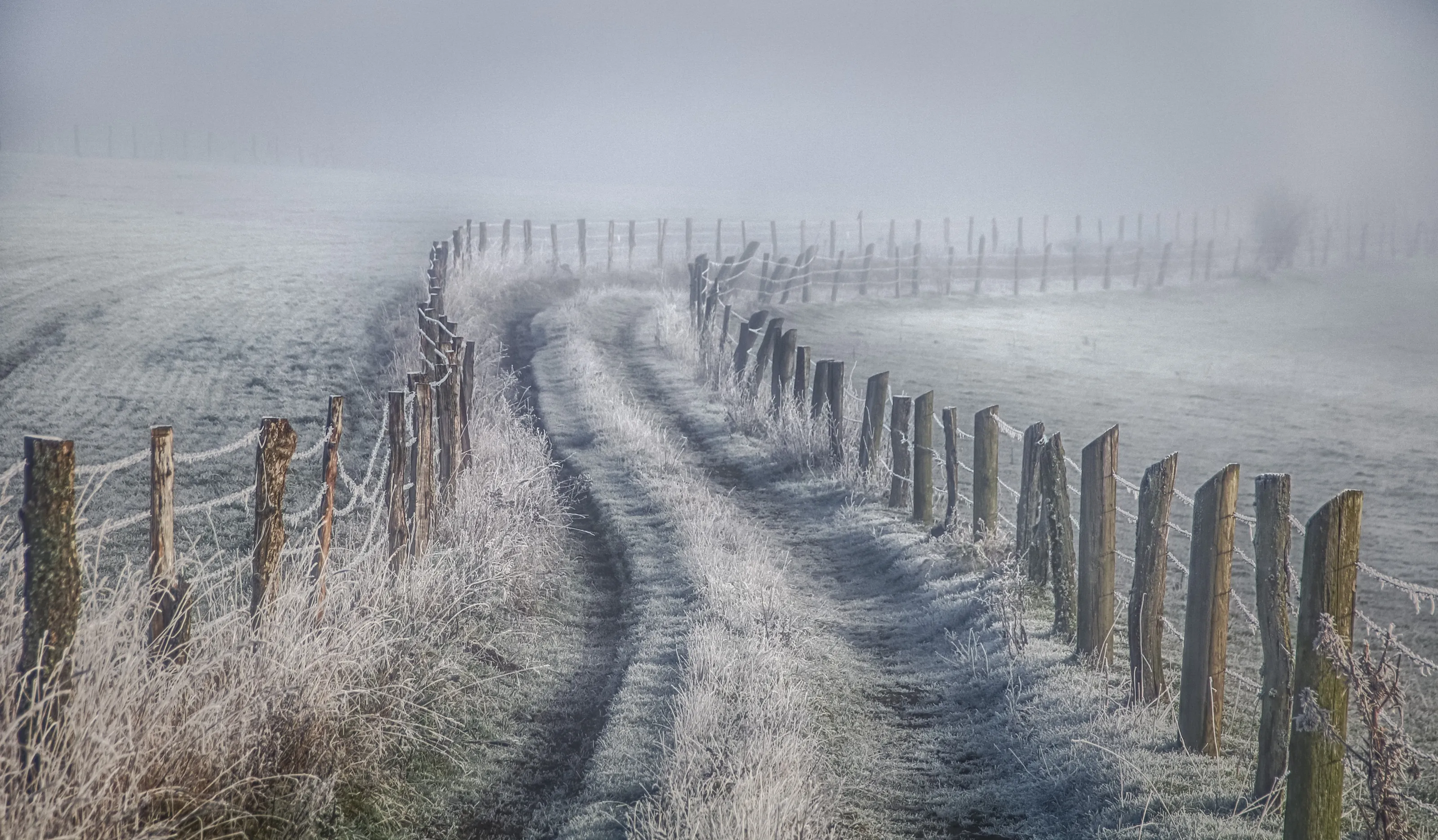 Leading Lines