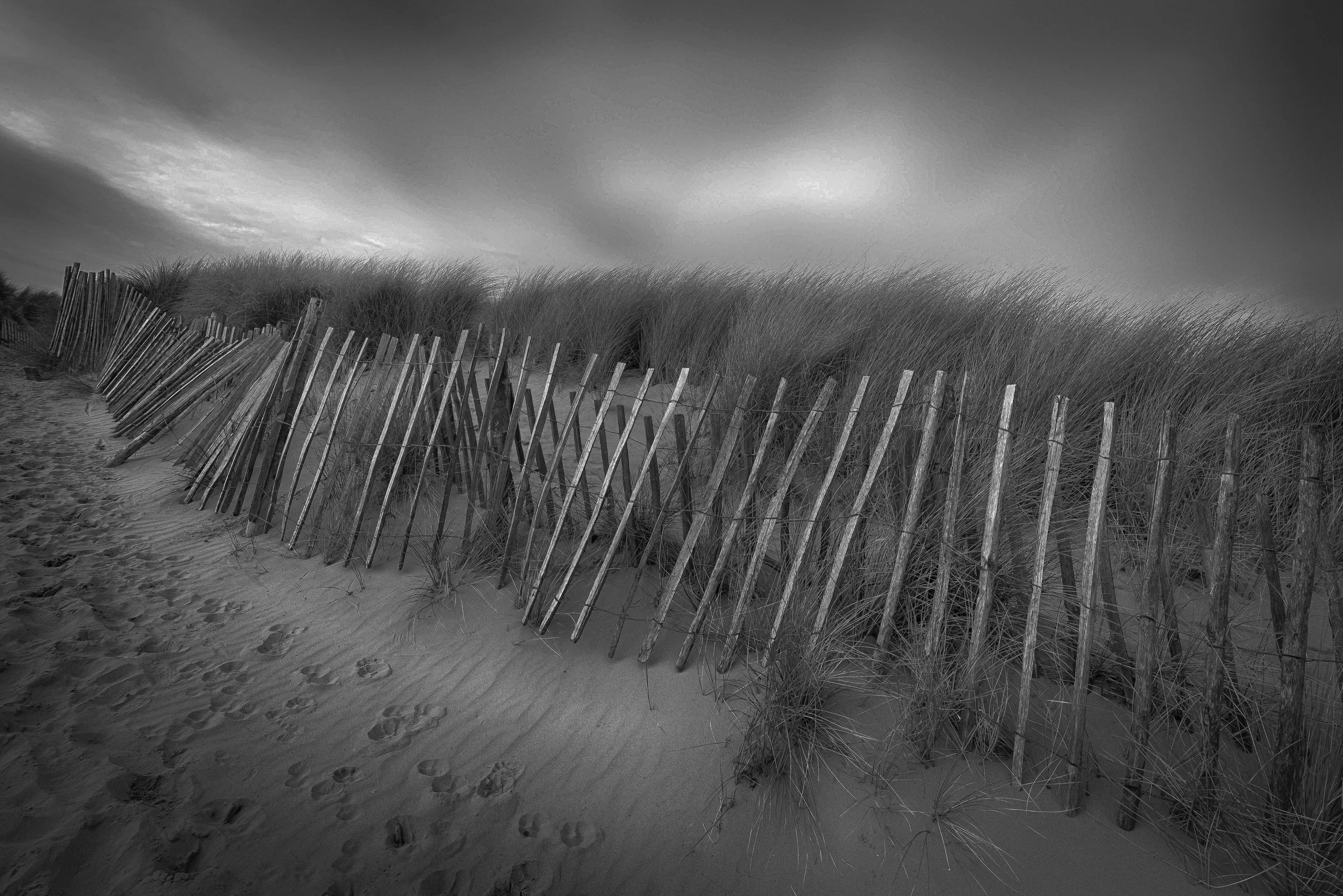 Fences