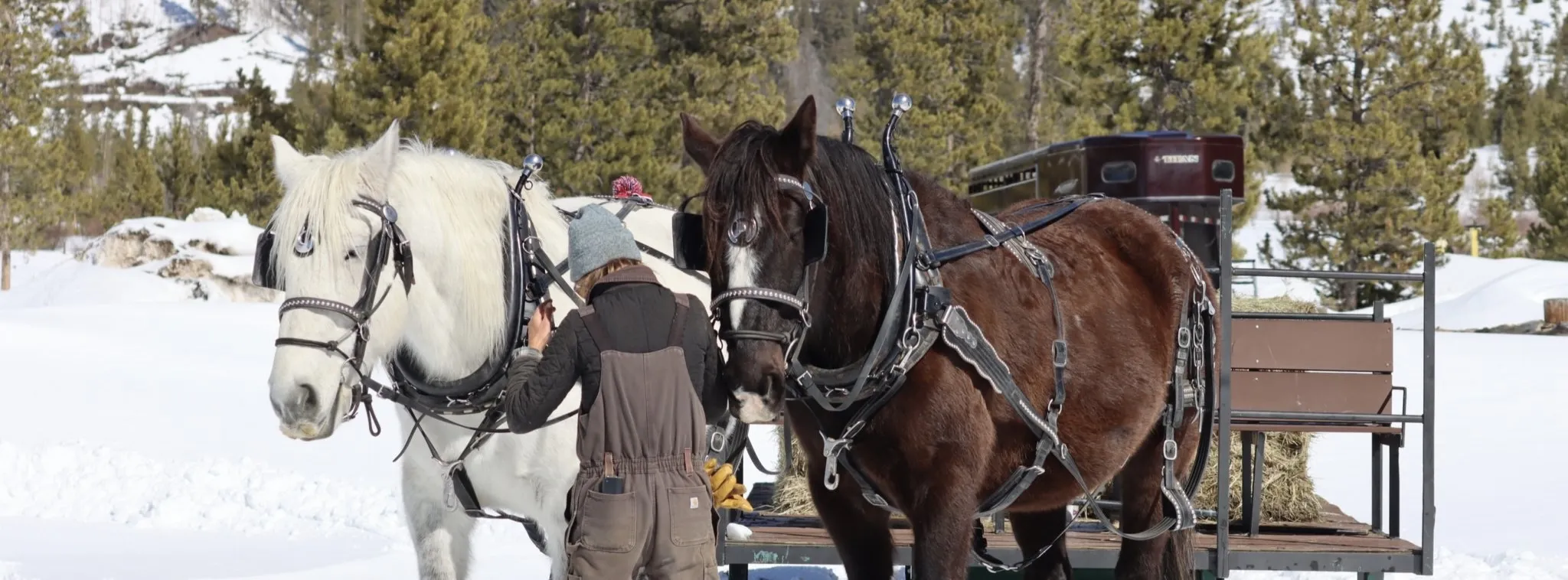 Horses Working on Farms