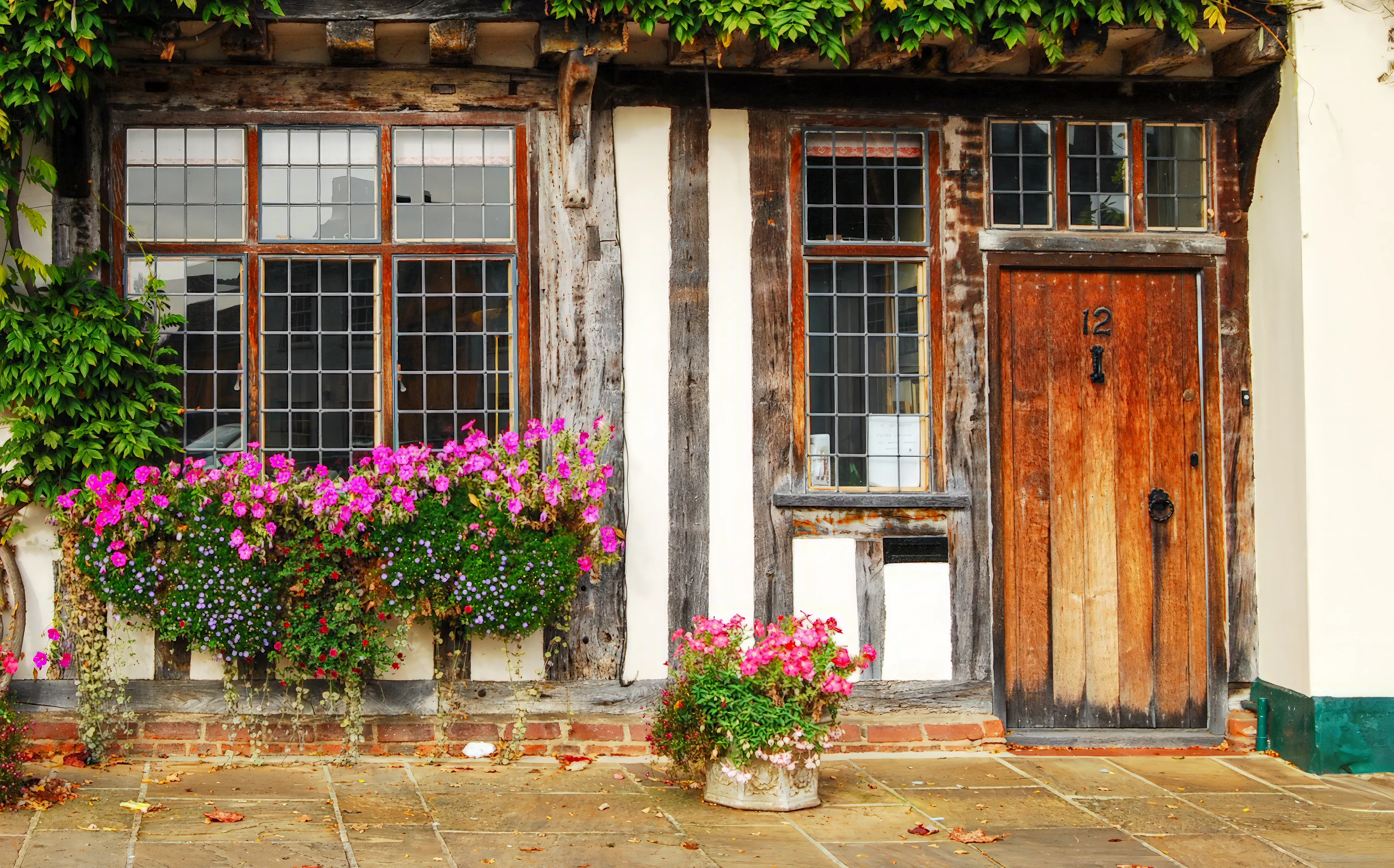 Exterior Windows and Doors Together